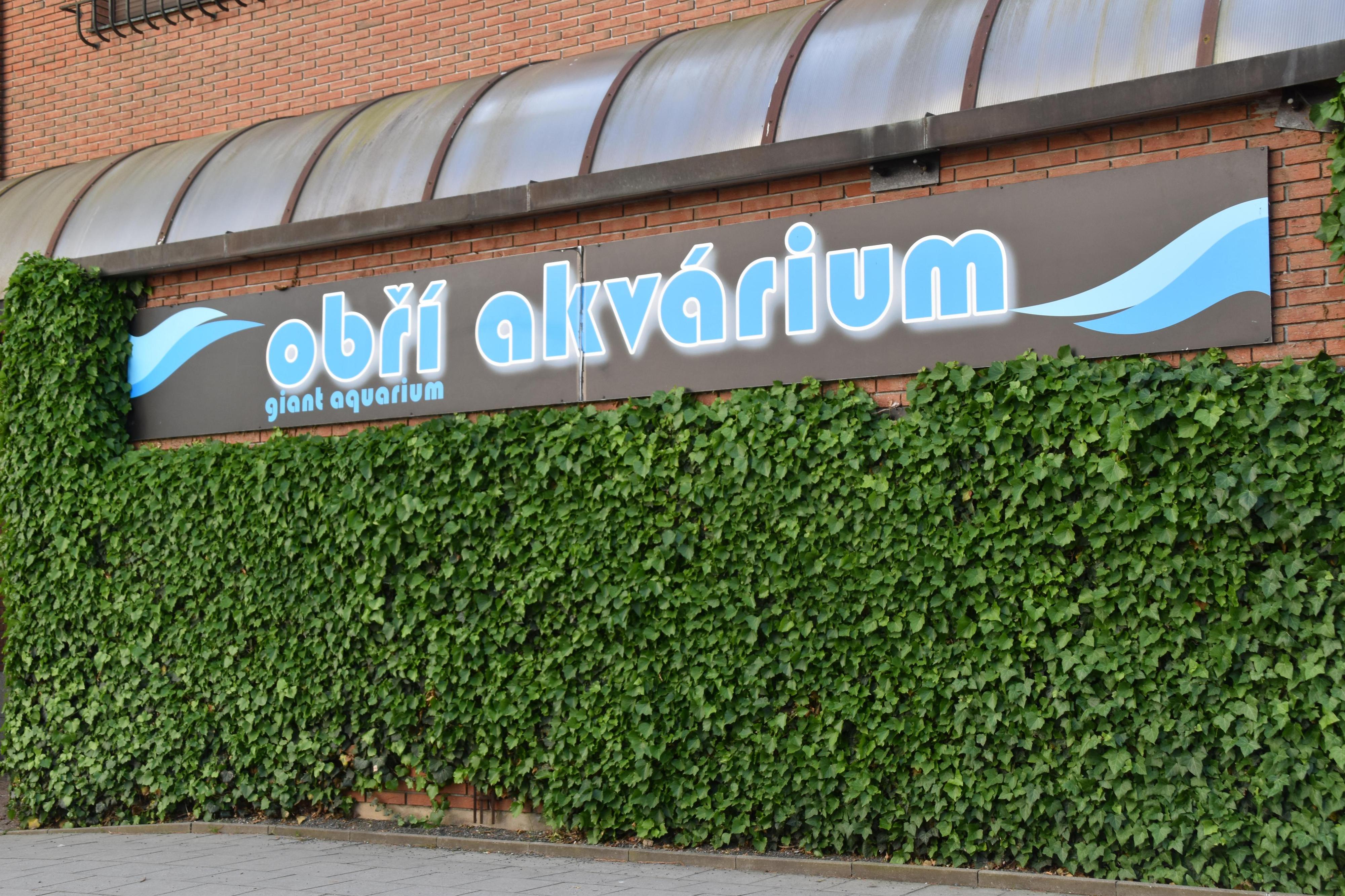 Obří akvárium foto 6