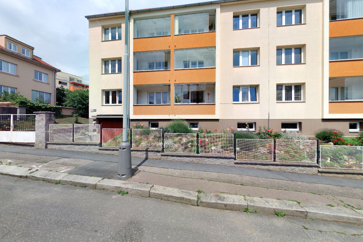 TARA - hlídání a venčení psů