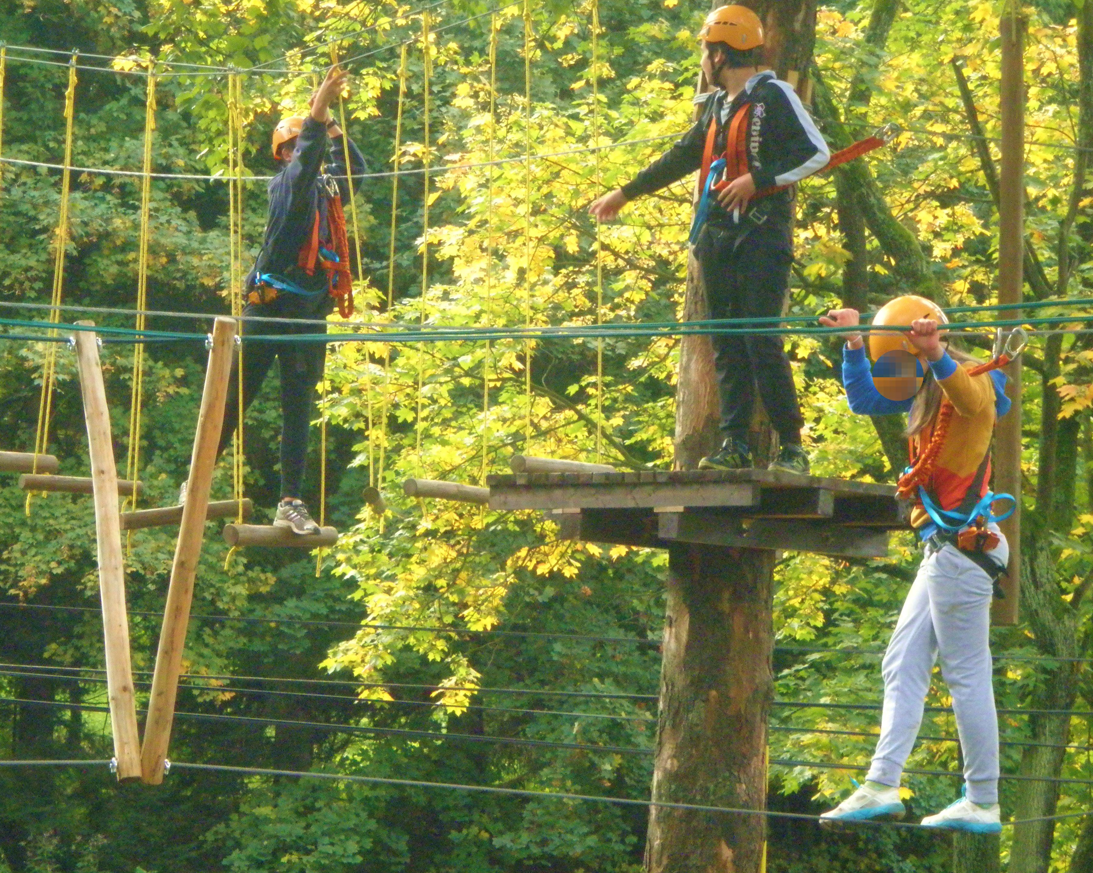 Lanový park Artur foto 6