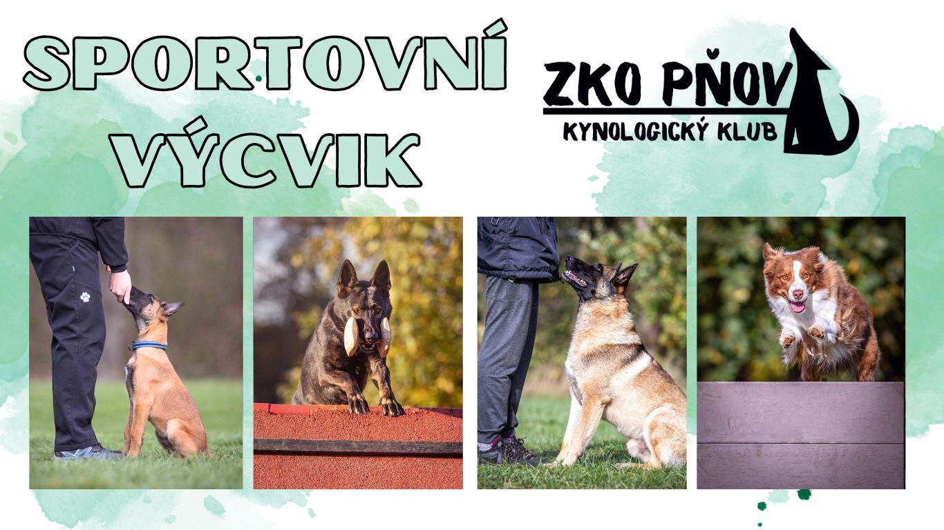 Kynologický klub Pňov foto 5