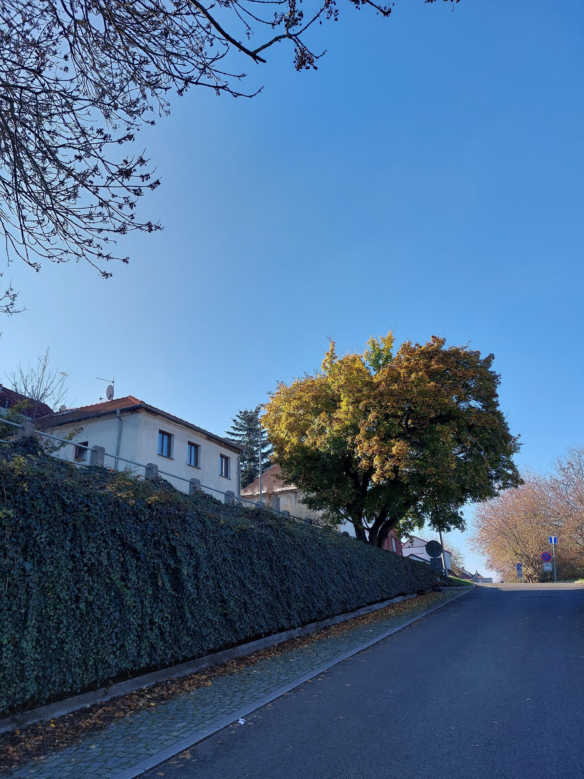 Studijní a dokumentační centrum Norbertov - Muzeum města Prahy foto 5