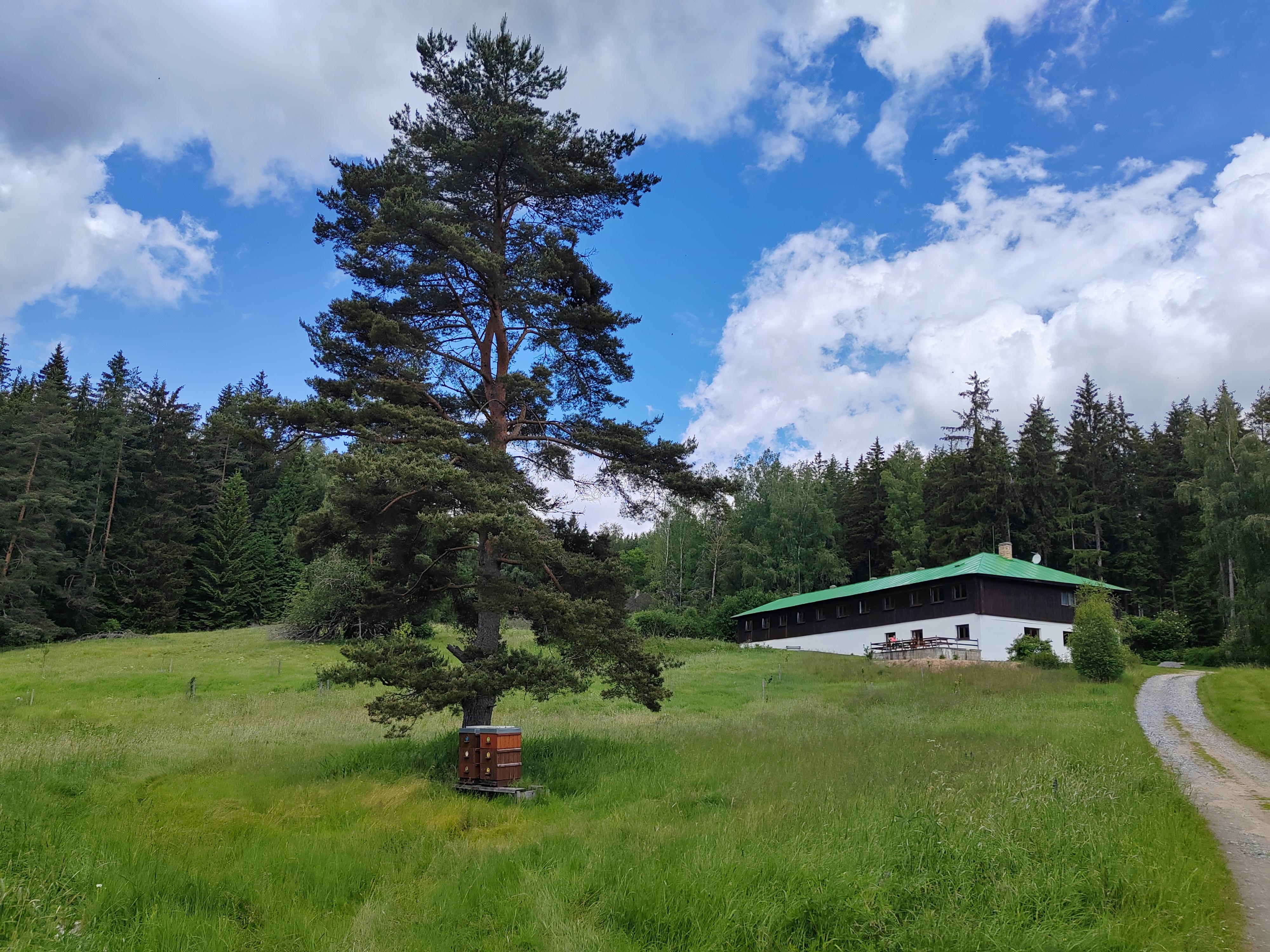 Rekreační středisko Nová Pec foto 3