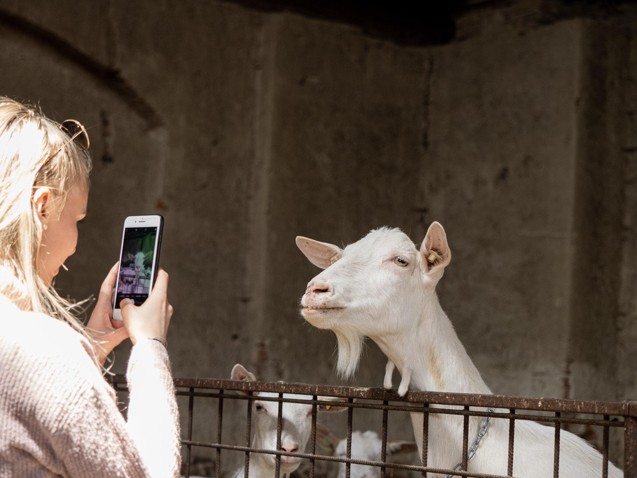 BIOFARMA DoRa foto 3