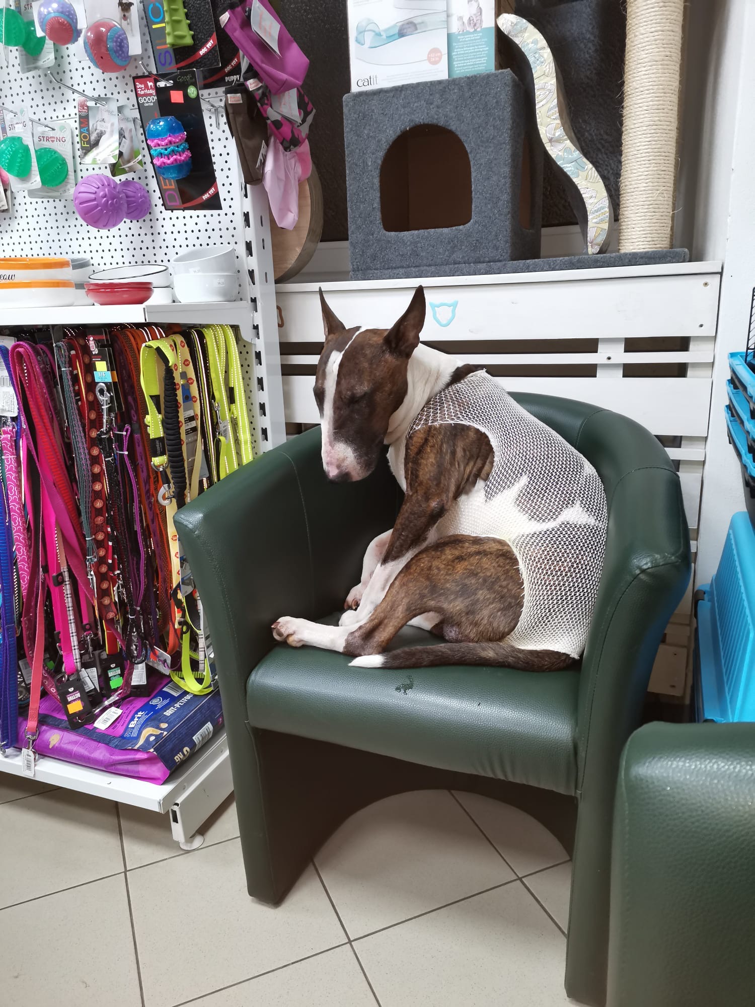 Veterinarvm.cz foto 3