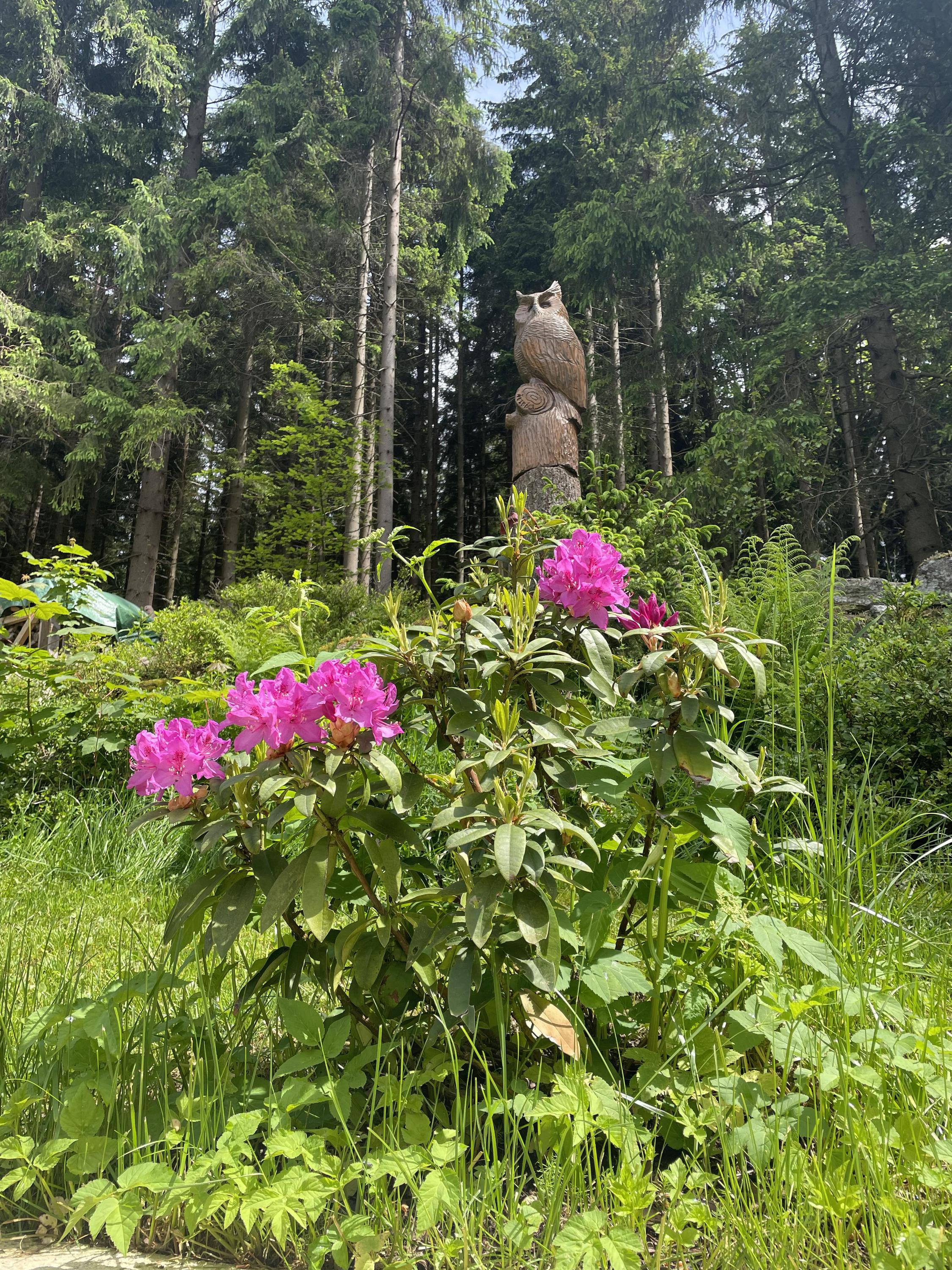 Chalupa Táborka foto 4