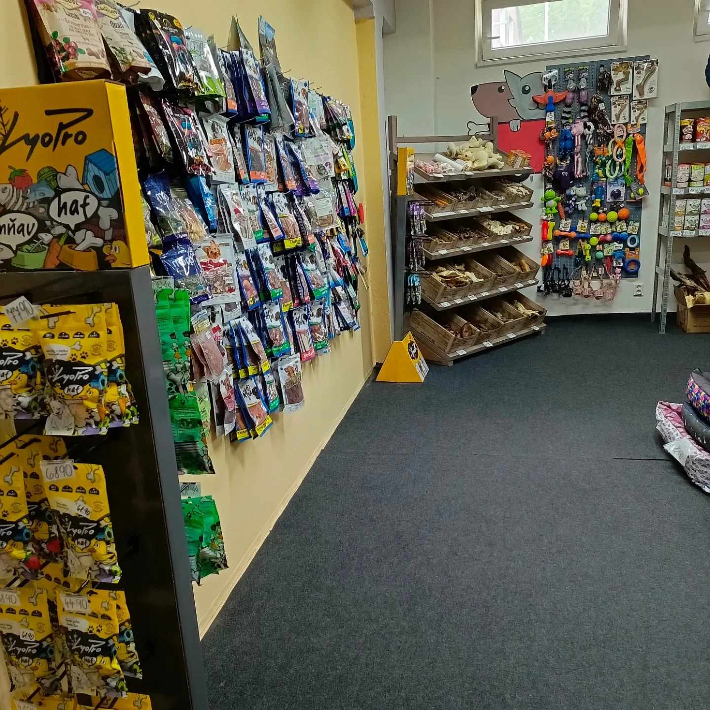 PetShop foto 2