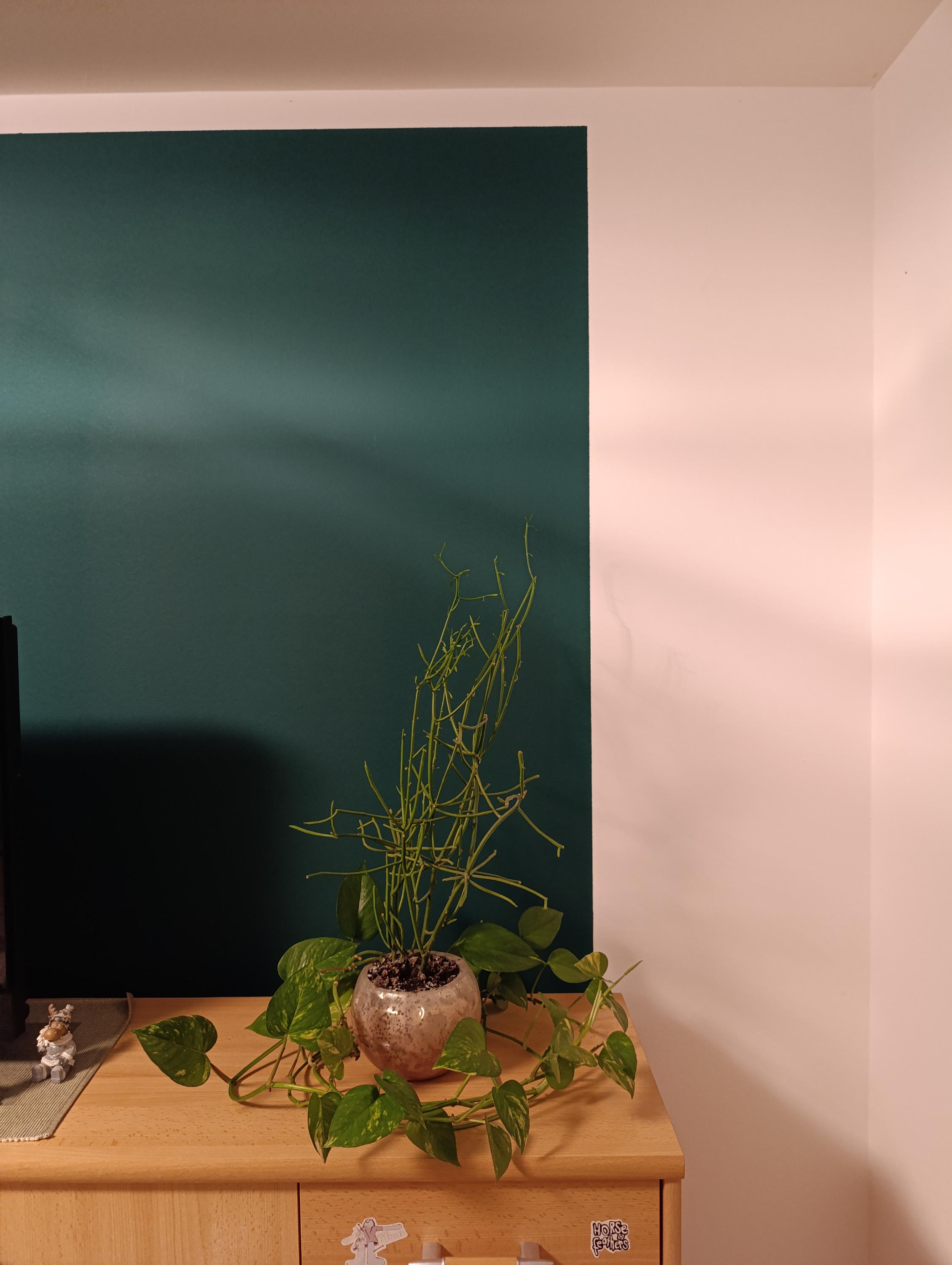 Michal Babák - Malířské práce foto 6