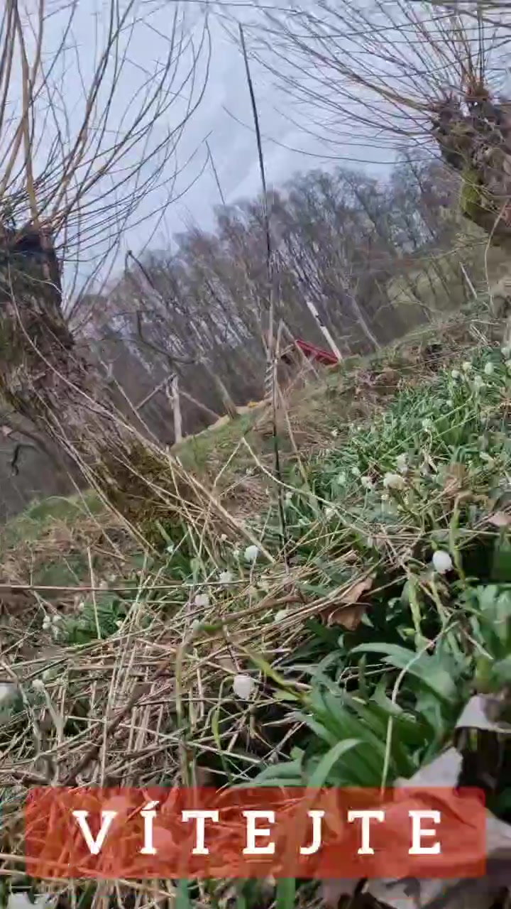 Rok-linka foto 2 (náhled videa)