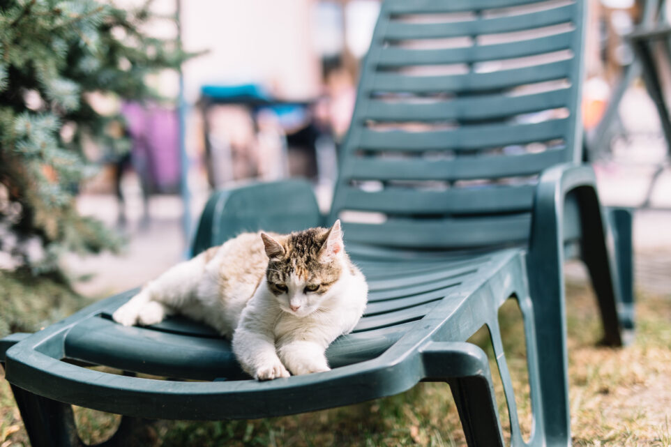 Senevida Loucký Mlýn foto 6