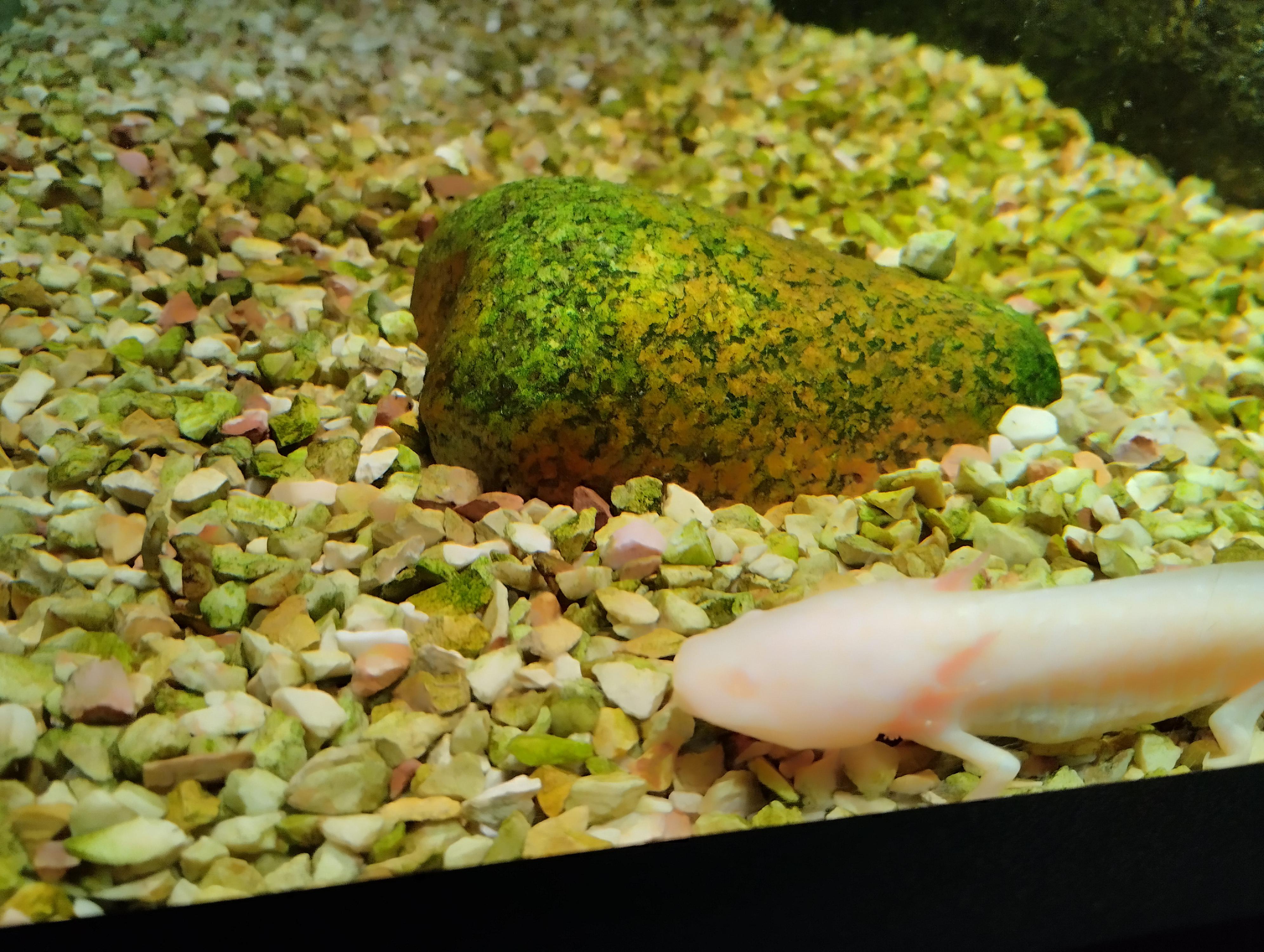 Svět pod hladinou foto 4