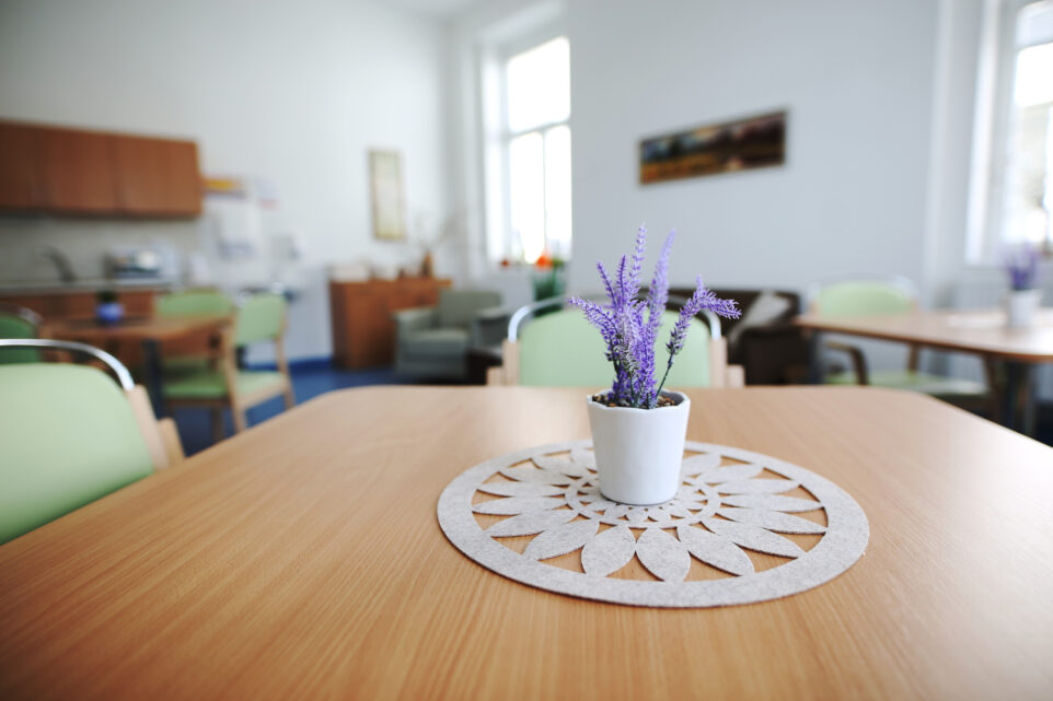 Senevida Kamenice nad Lipou foto 3