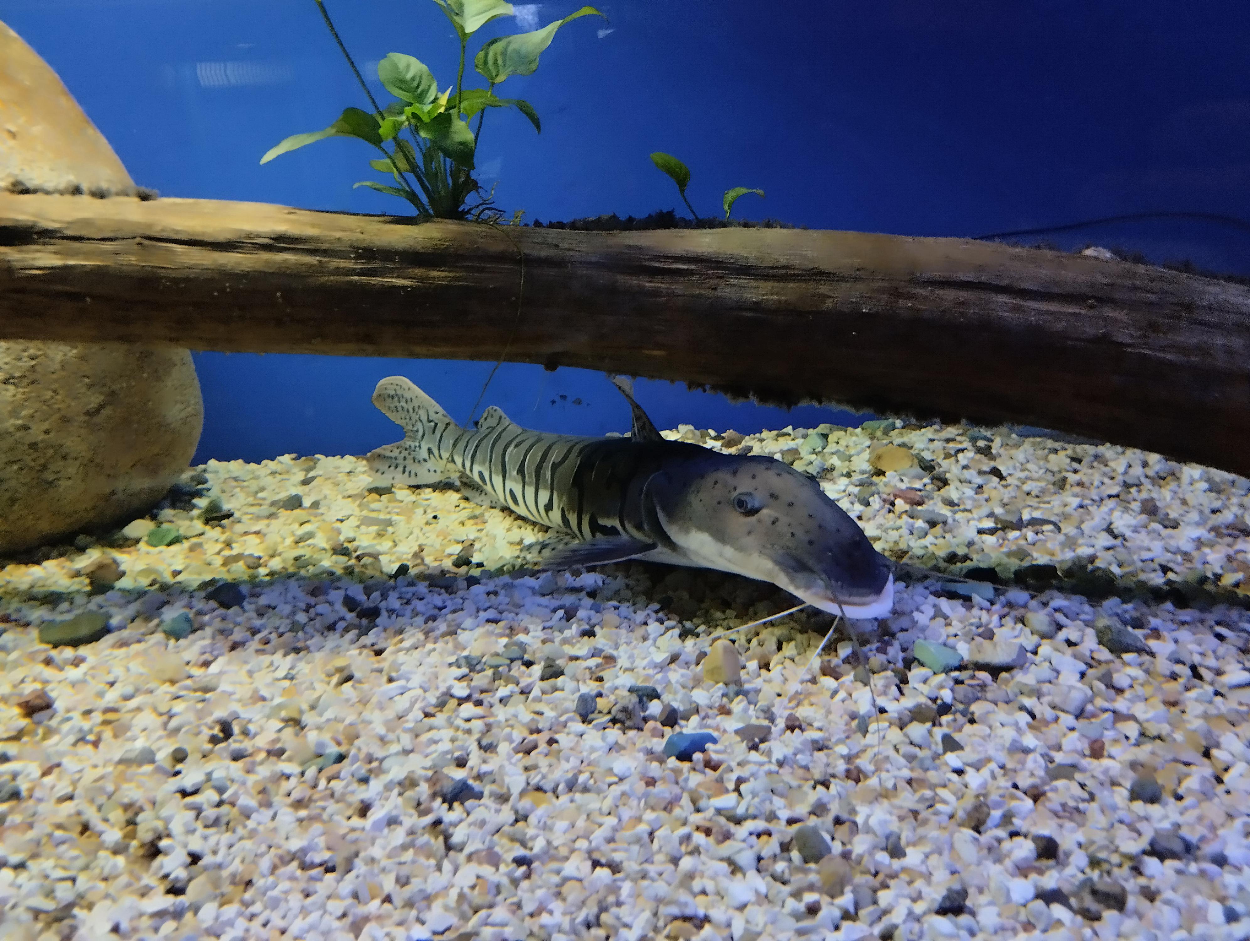 Svět pod hladinou foto 6