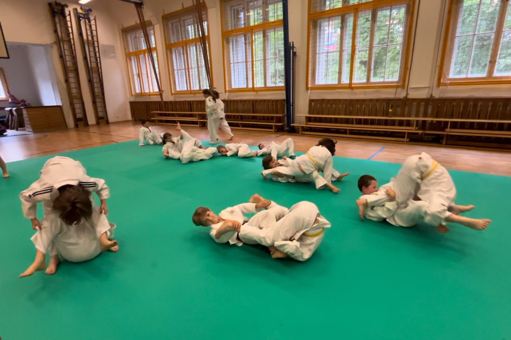 Judo Best Motion