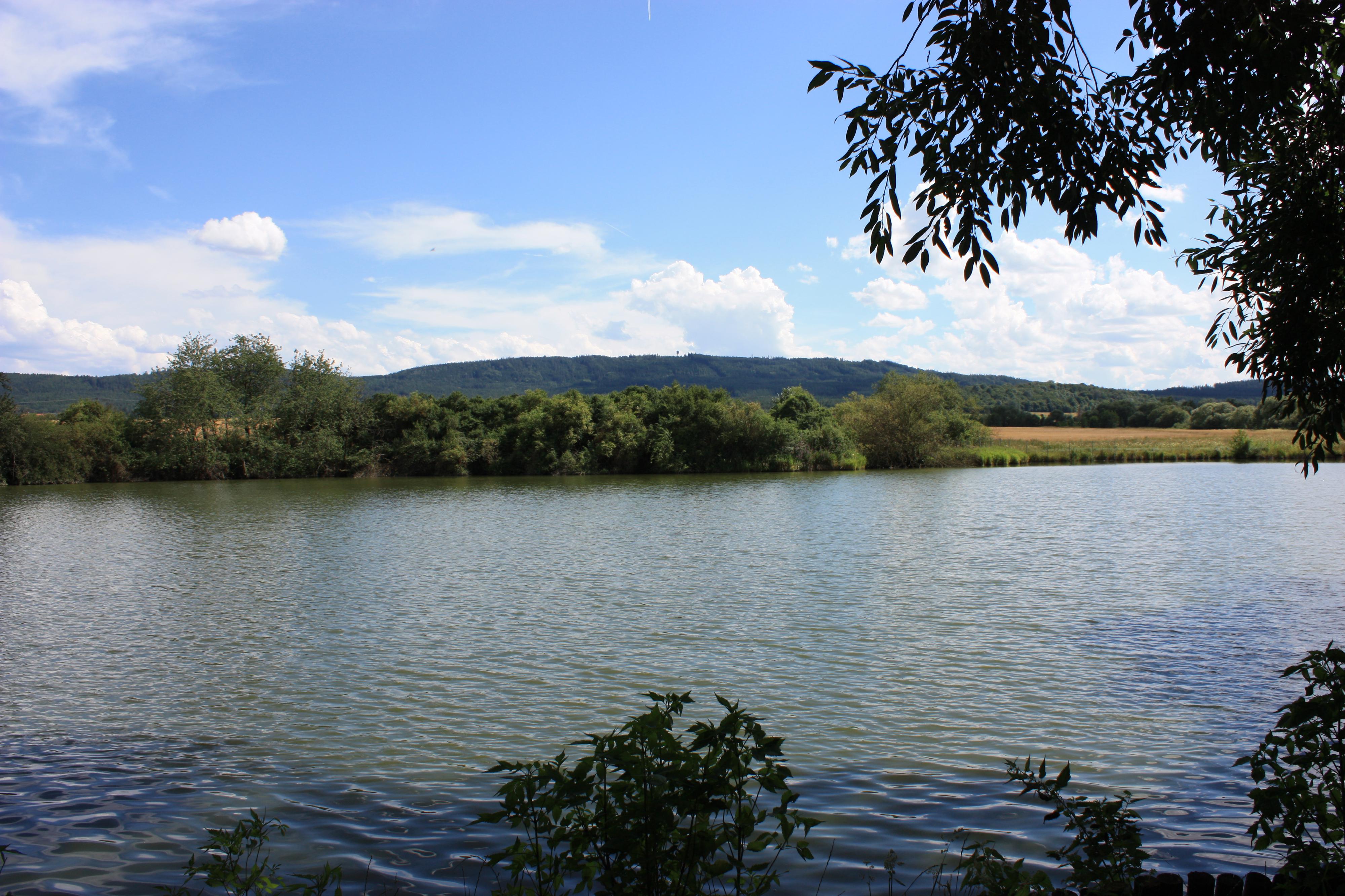 Rybník Královák foto 2