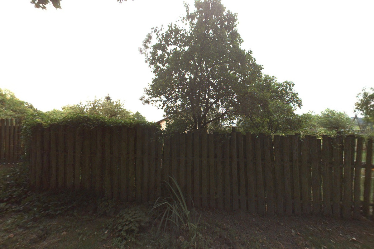 Výcvik a hlídání psů Godog