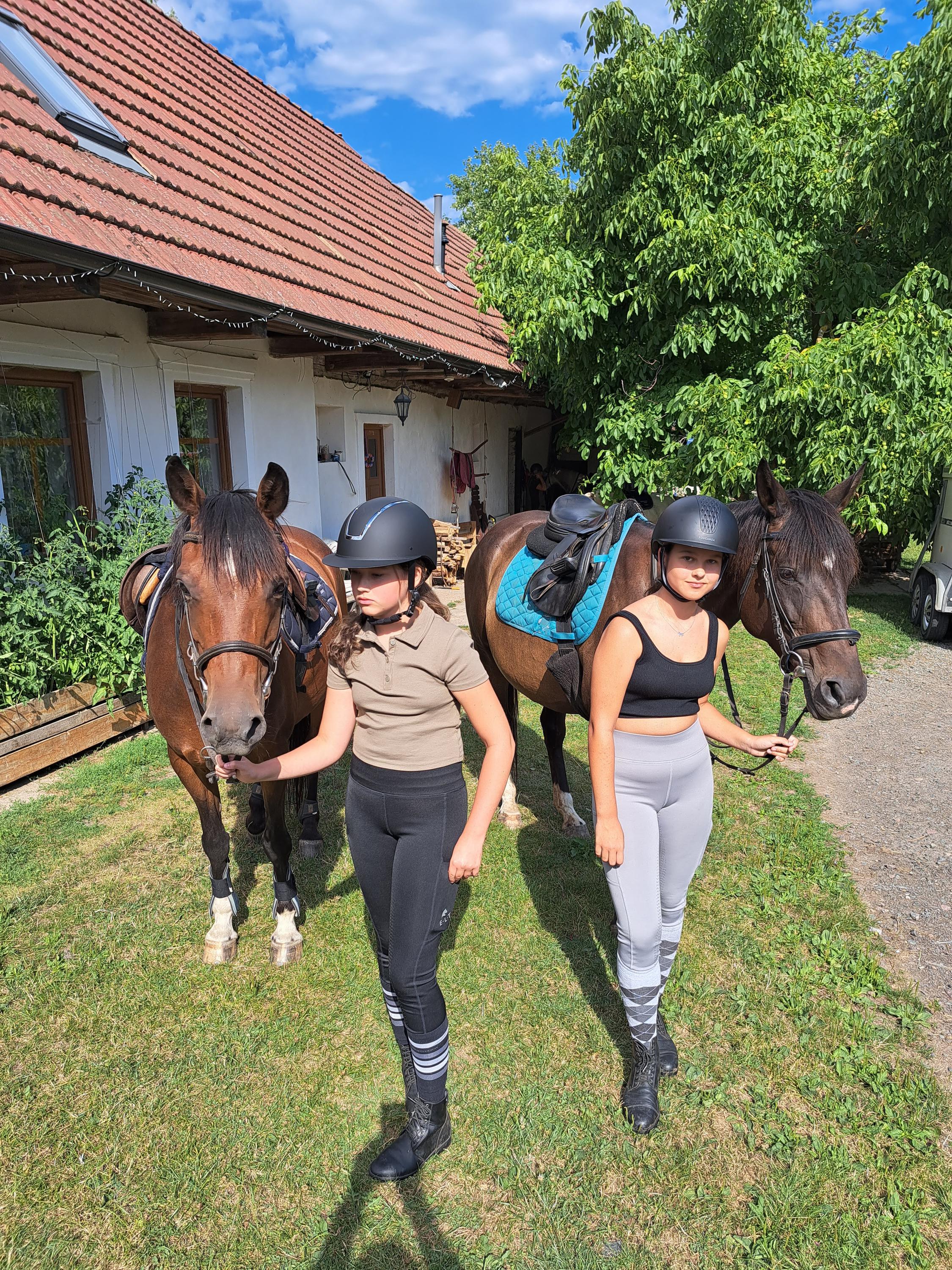 Stáj Ježkovice foto 3