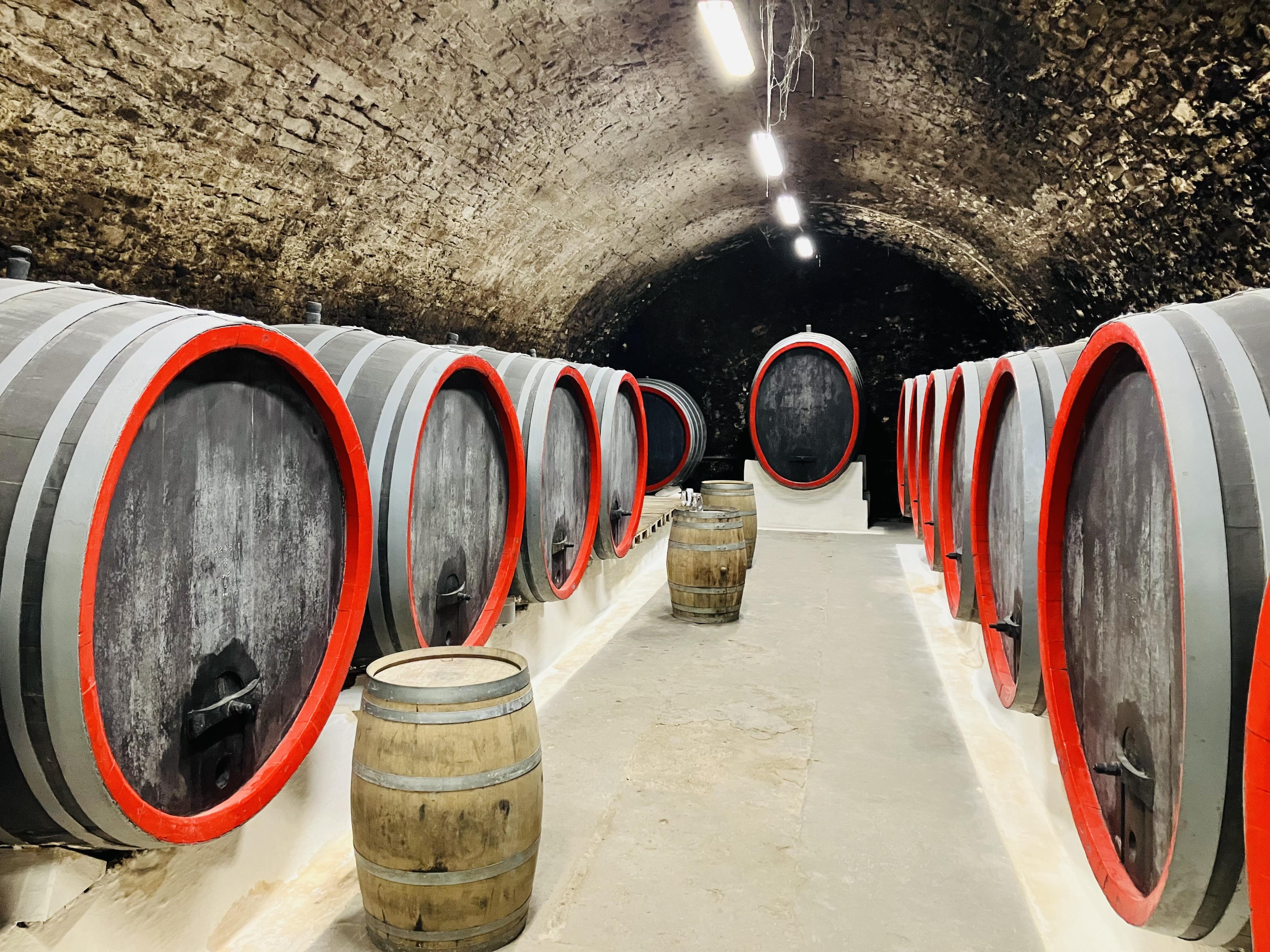 Žernosecké vinařství foto 4