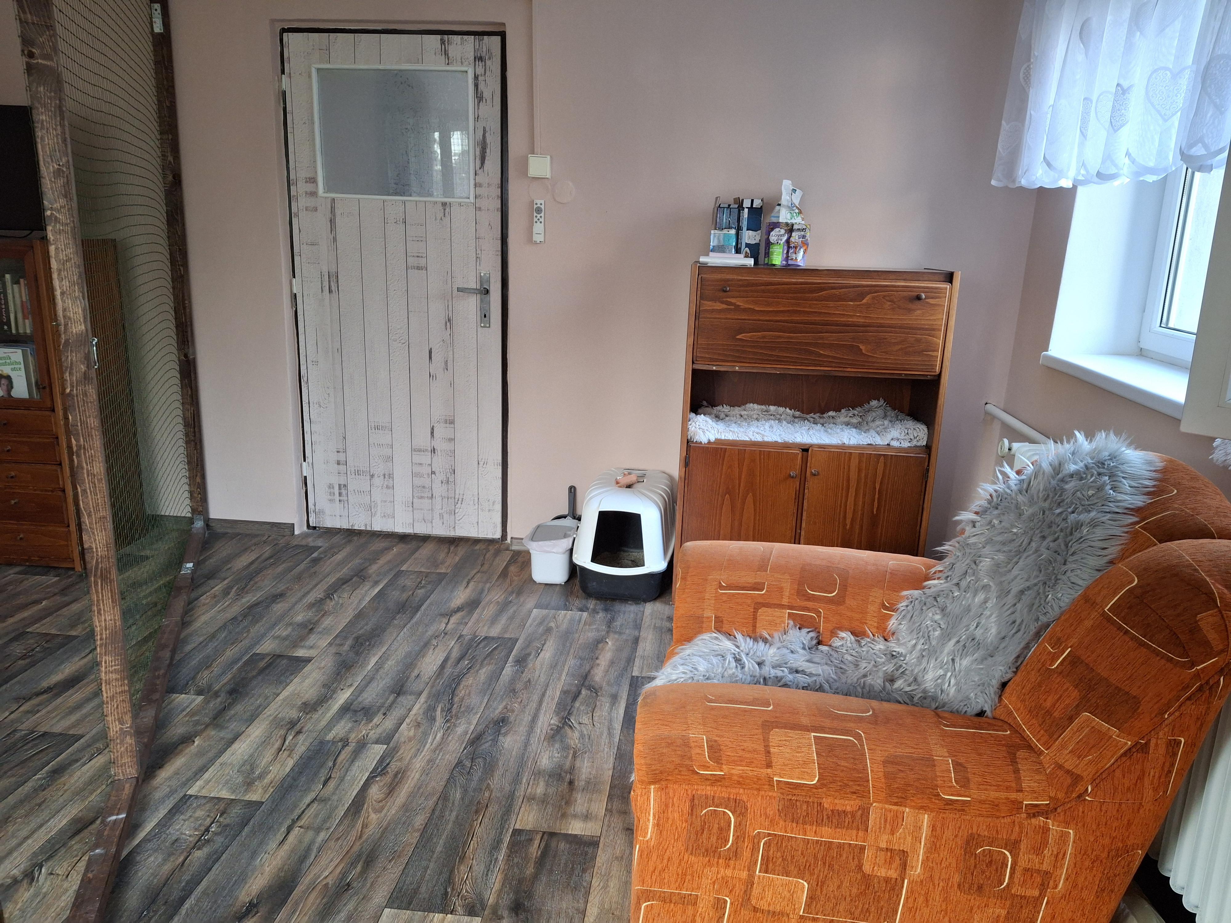 Kočičí hotel U Blanky foto 5