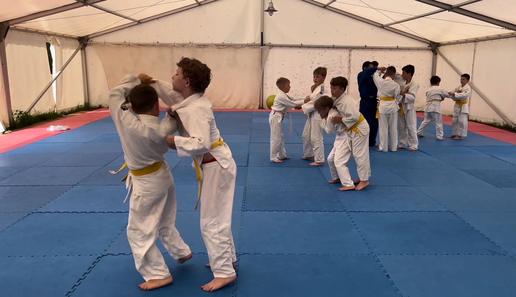 Judo Best Motion foto 6
