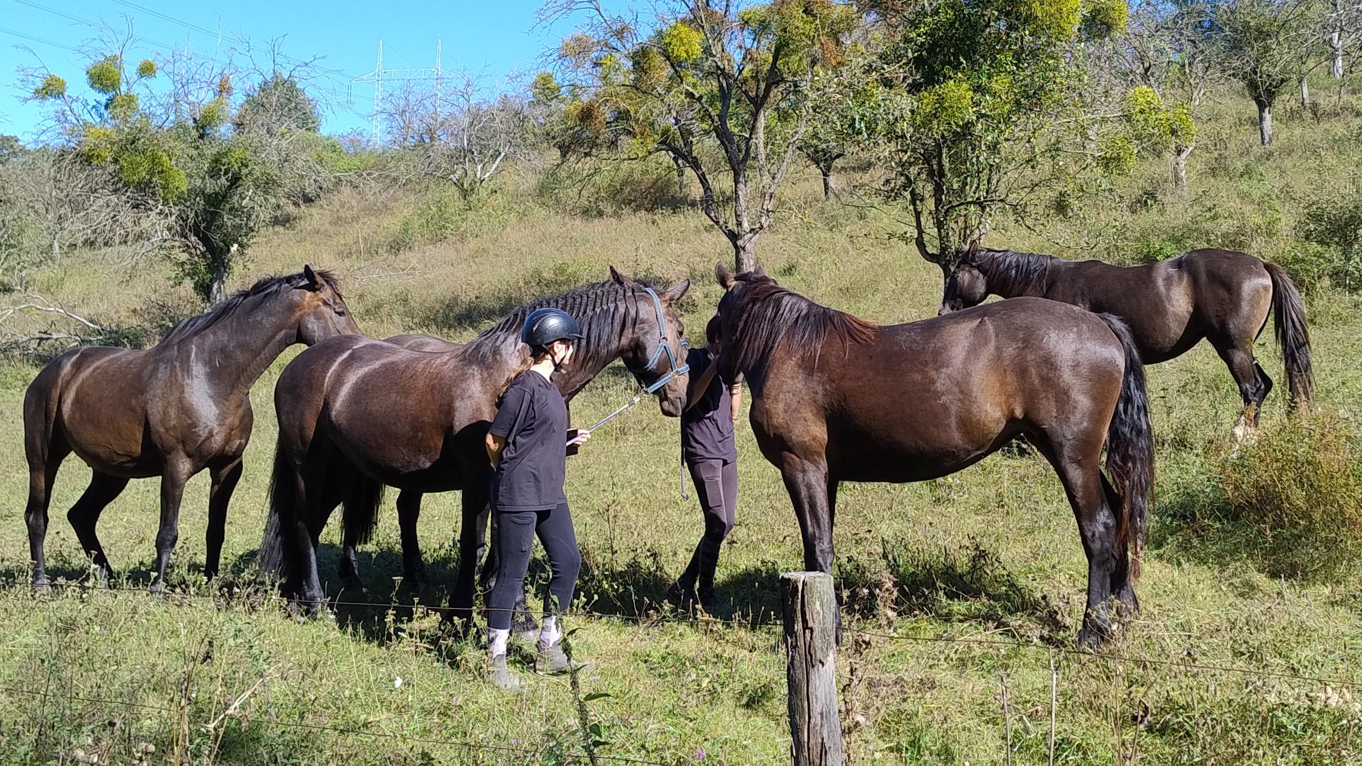 Ekofarma Jalový dvůr - ubytování foto 5