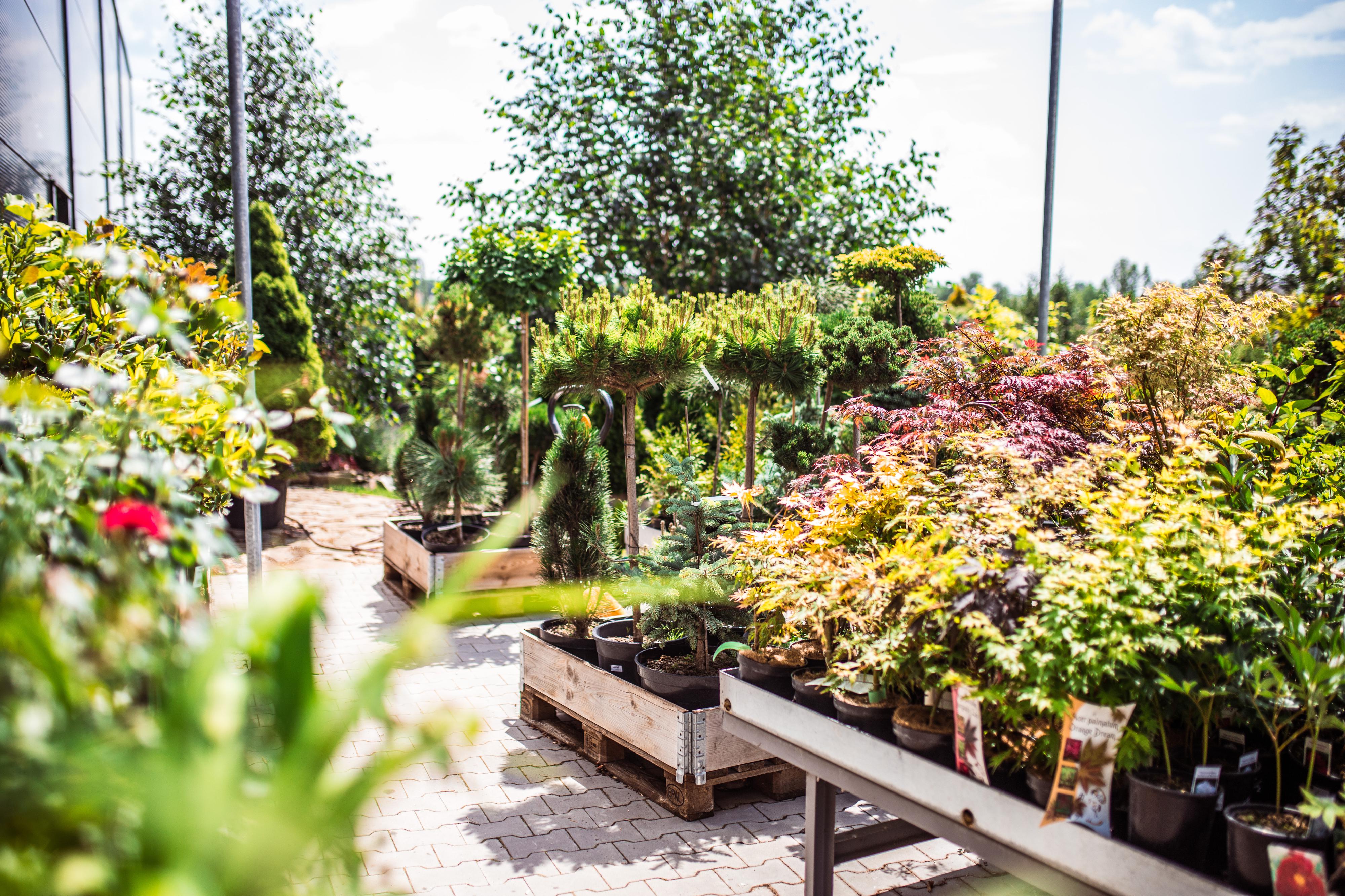 ZAHRADNÍ CENTRUM V ALEJI foto 3