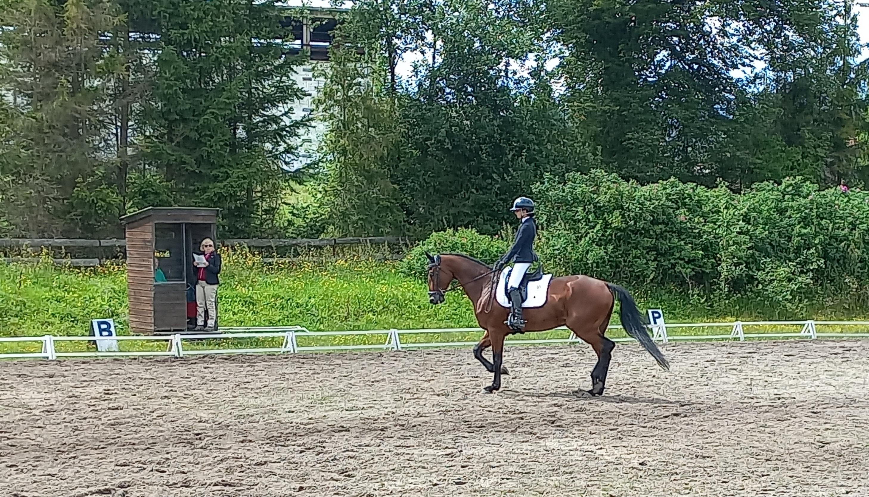 Jezdecký klub Amír foto 3