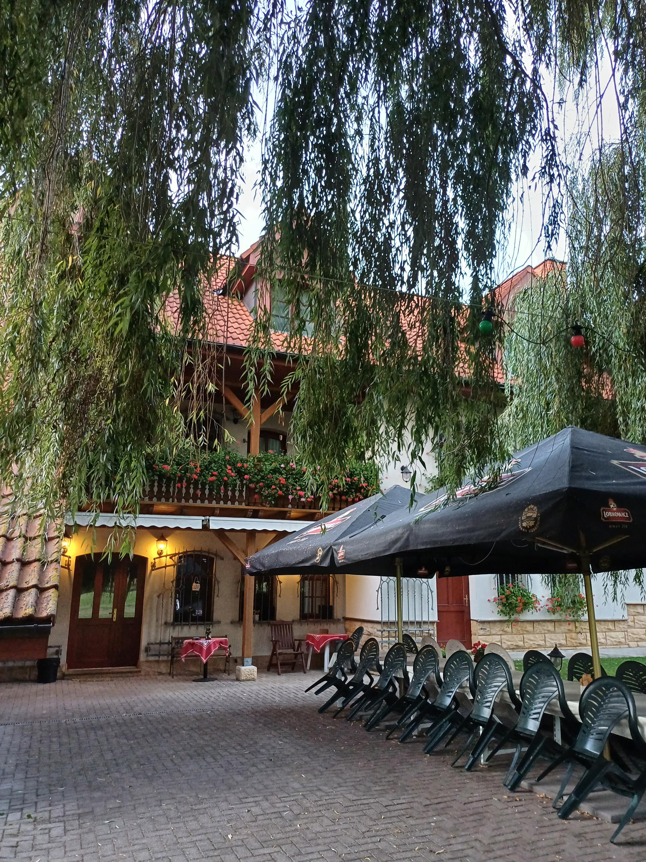 U Bukovského rybníka foto 4