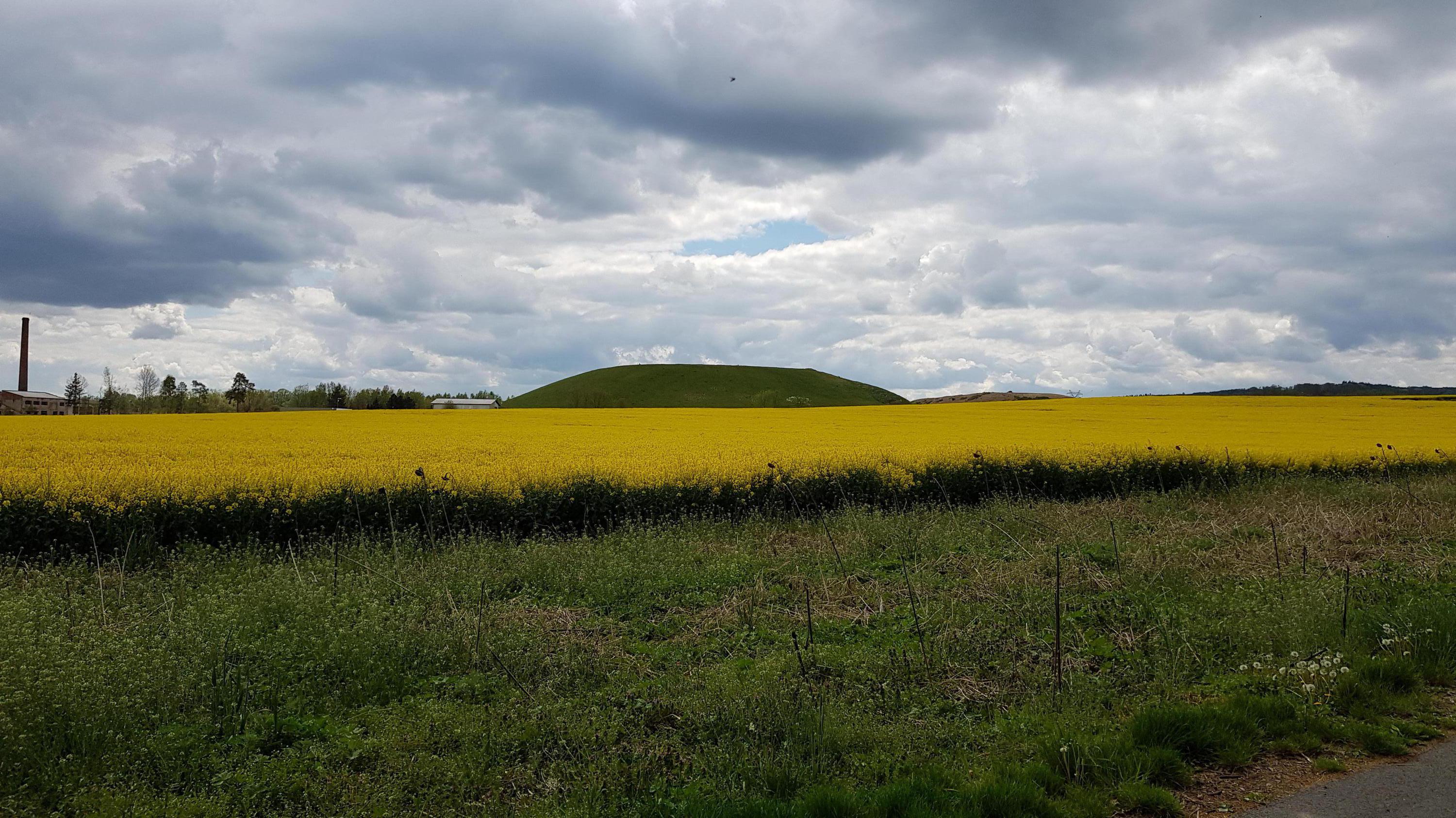 RUMPOLD 01 - Vodňany s.r.o. - sběrný dvůr foto 2
