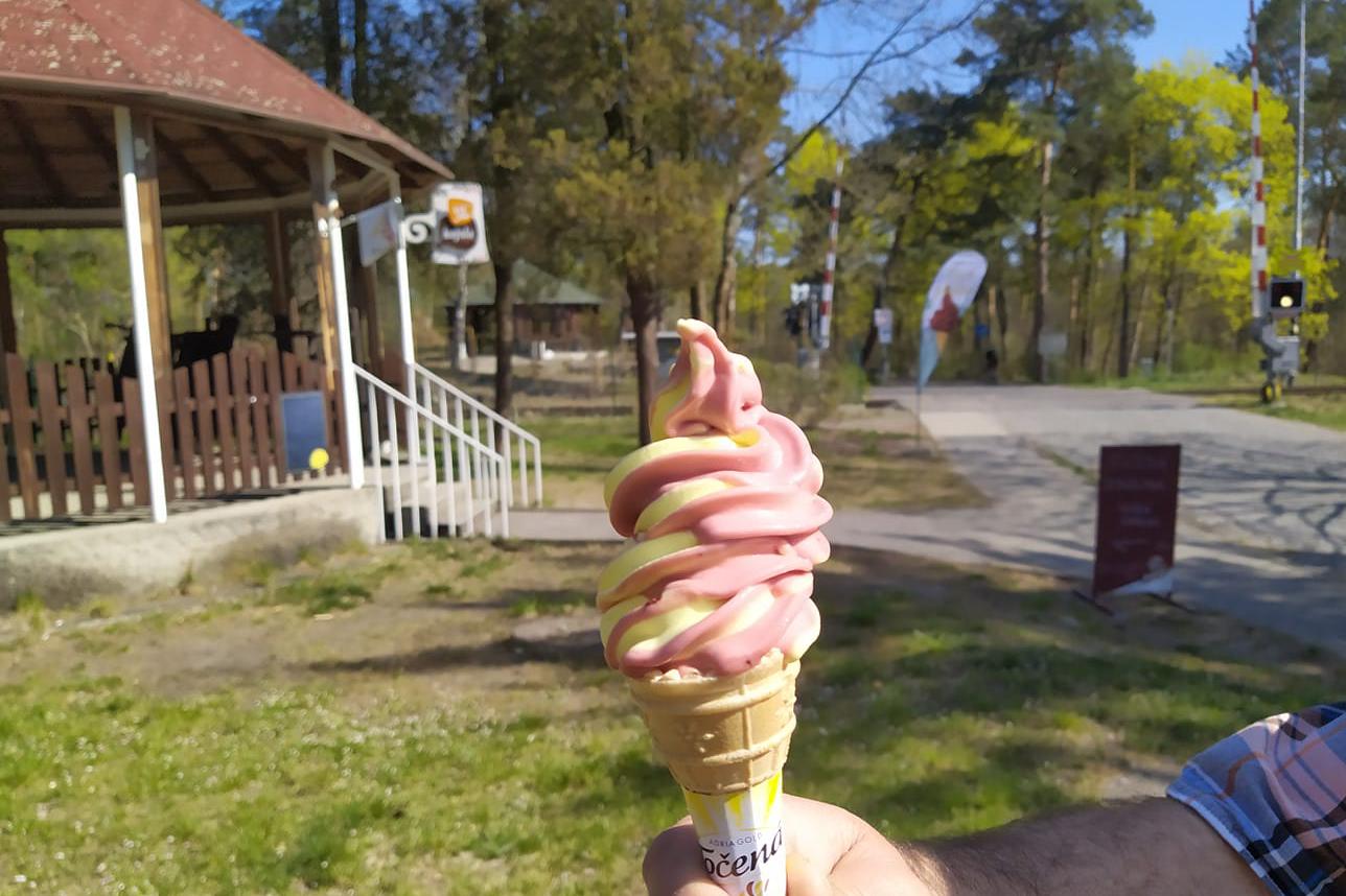 Café a zmrzlina Saturnin