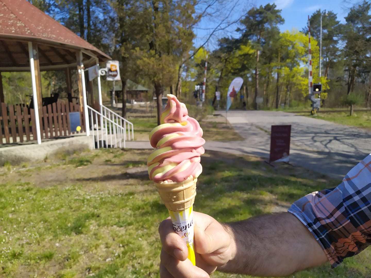 Café a zmrzlina Saturnin foto 2