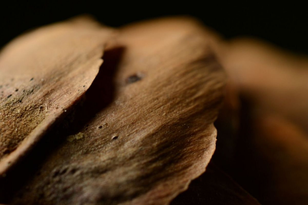 Truhlářství Klier foto 1