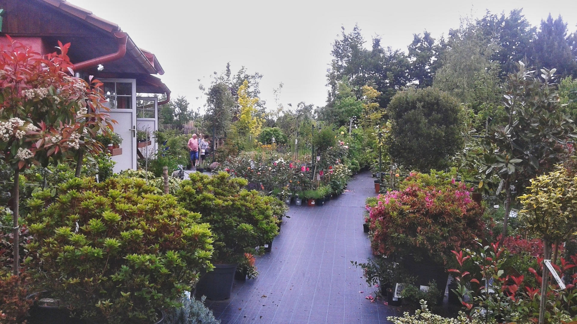 Zahradnictví SAFRO Milan Havlis foto 5