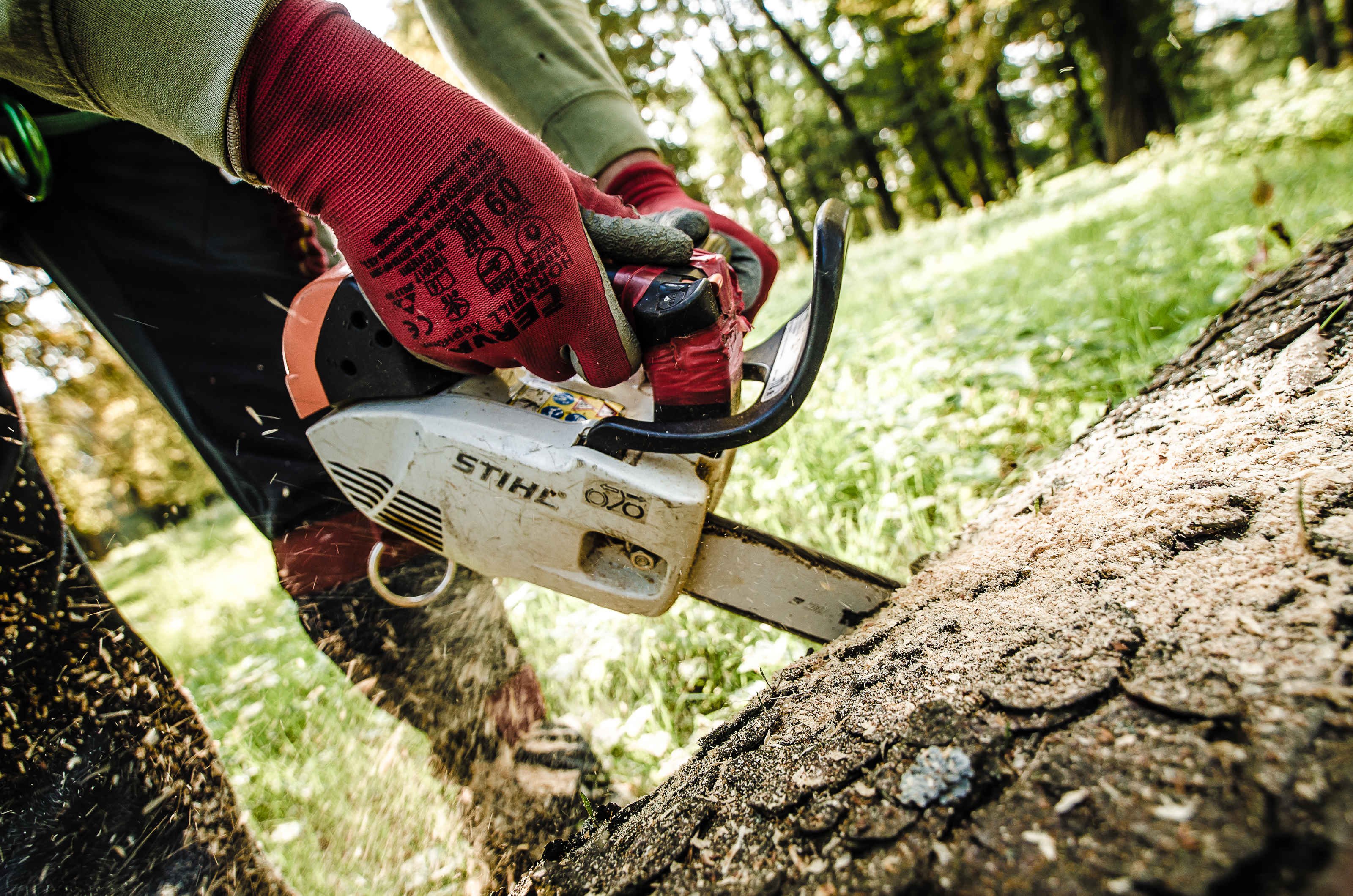 MT Arbo - Miroslav Tobolík foto 2
