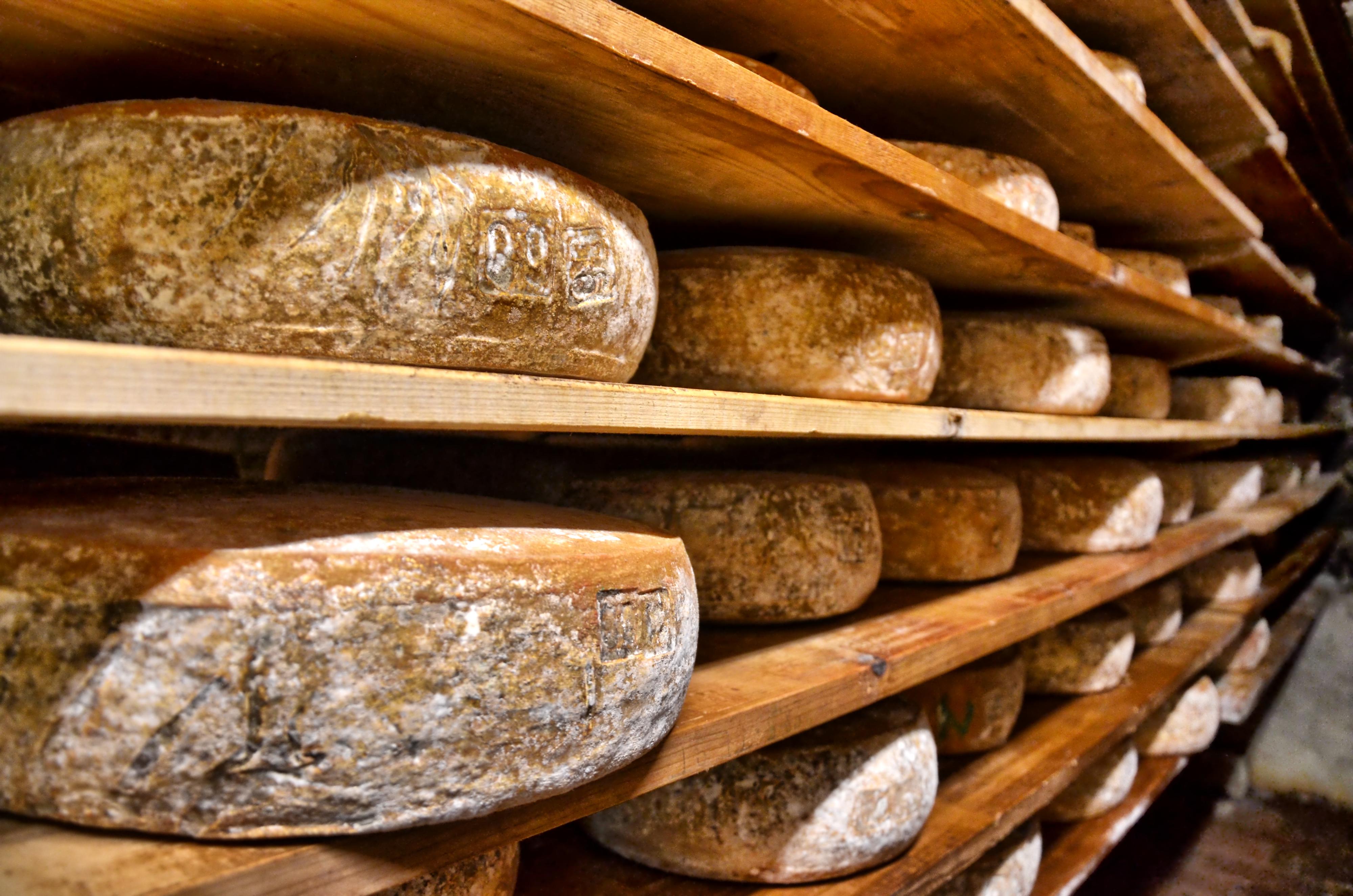 Ofčí sýry Brníčko foto 2