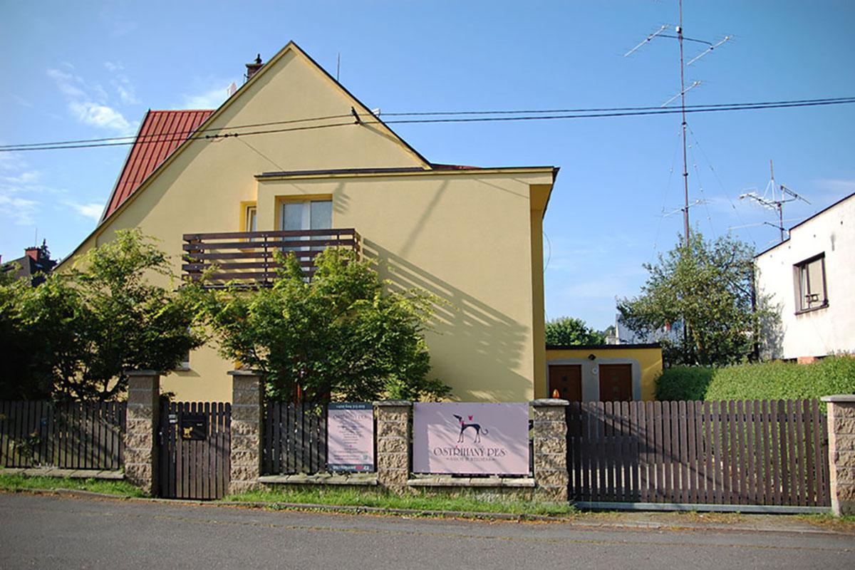Ostříhaný pes - salon & wellness