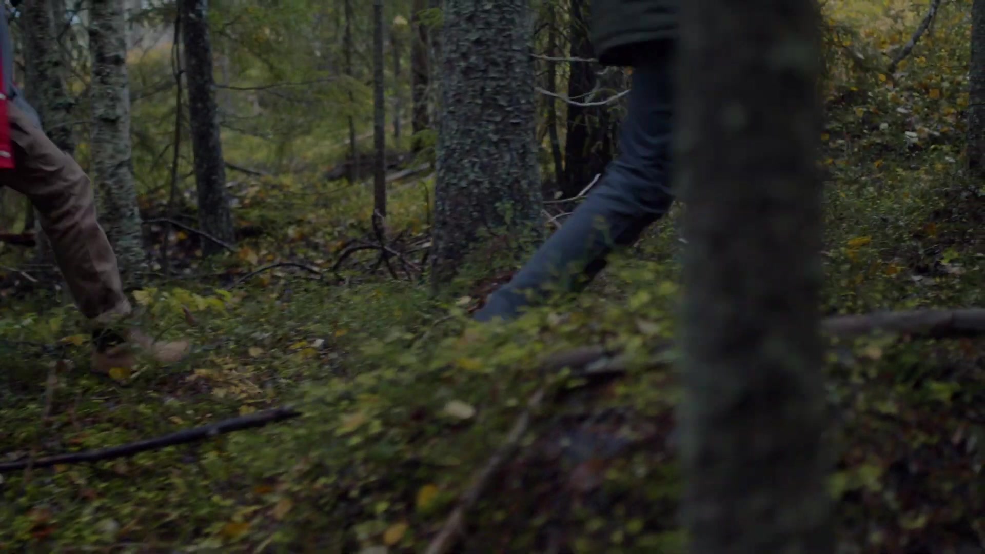 FJÄLLRÄVEN foto 2 (náhled videa)