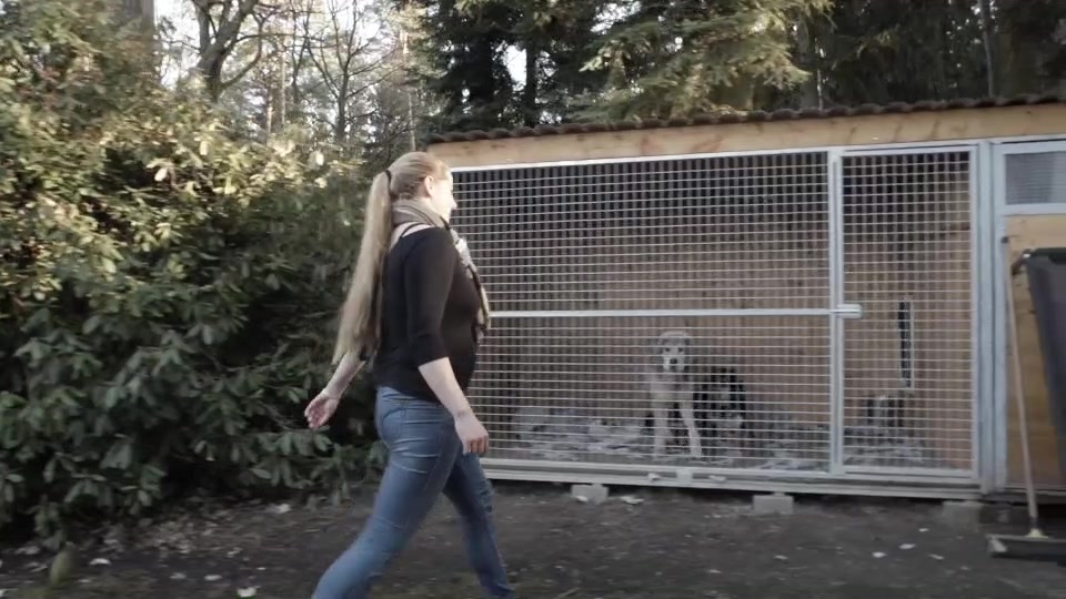 Anadi - lehátka pro psy foto 2 (náhled videa)