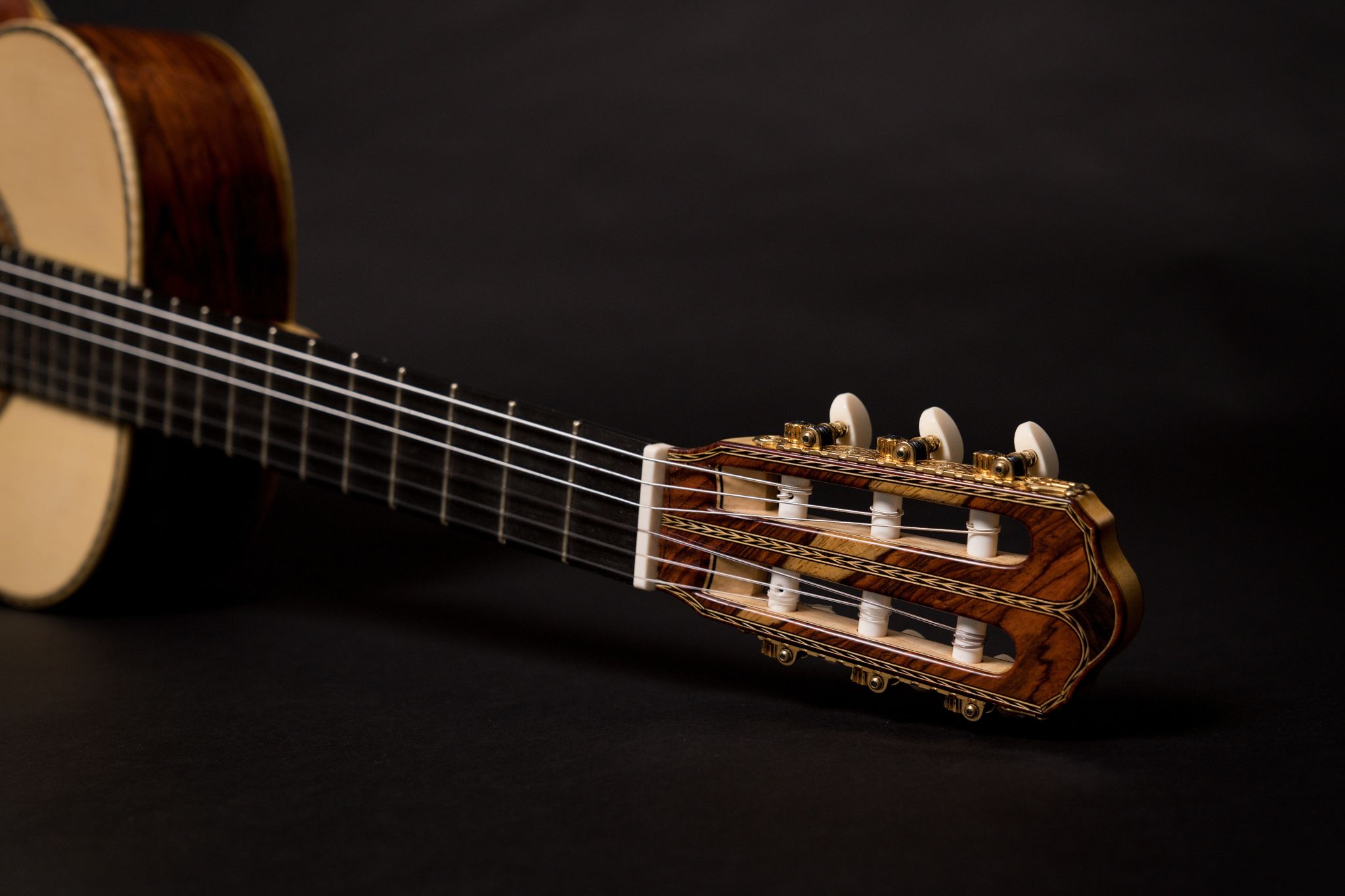 Prazan Guitars foto 5