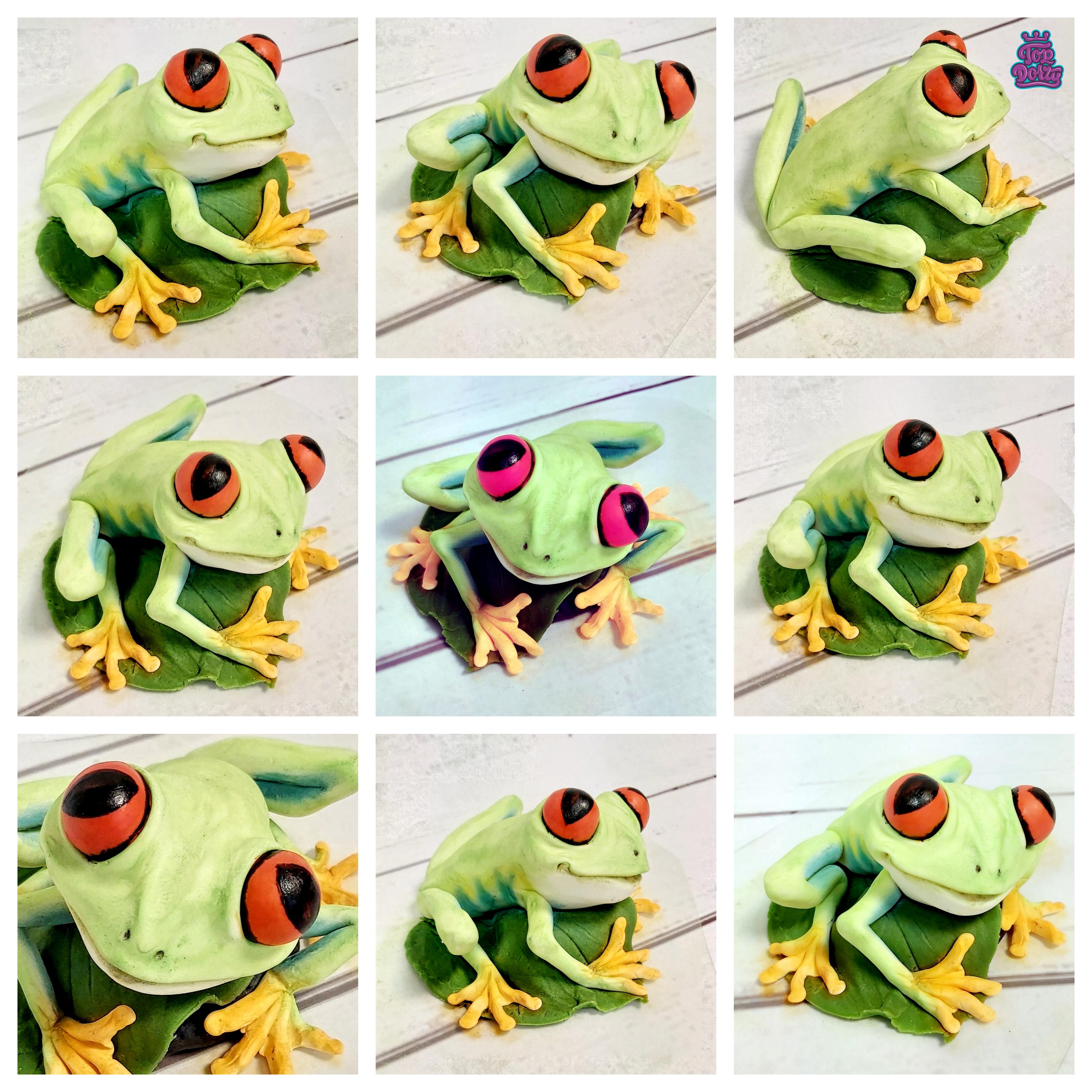 Top Dorty foto 5