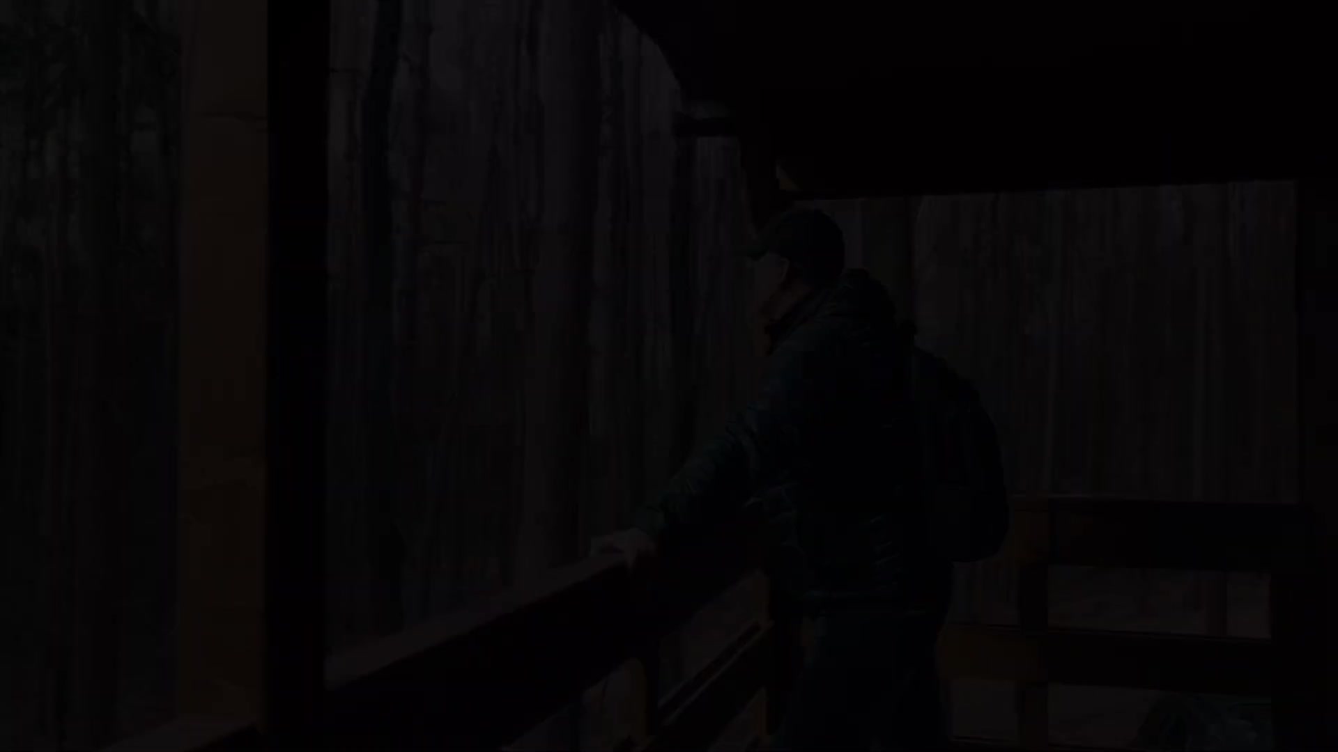 Martin Socha REALITY PRORADOST foto 2 (náhled videa)