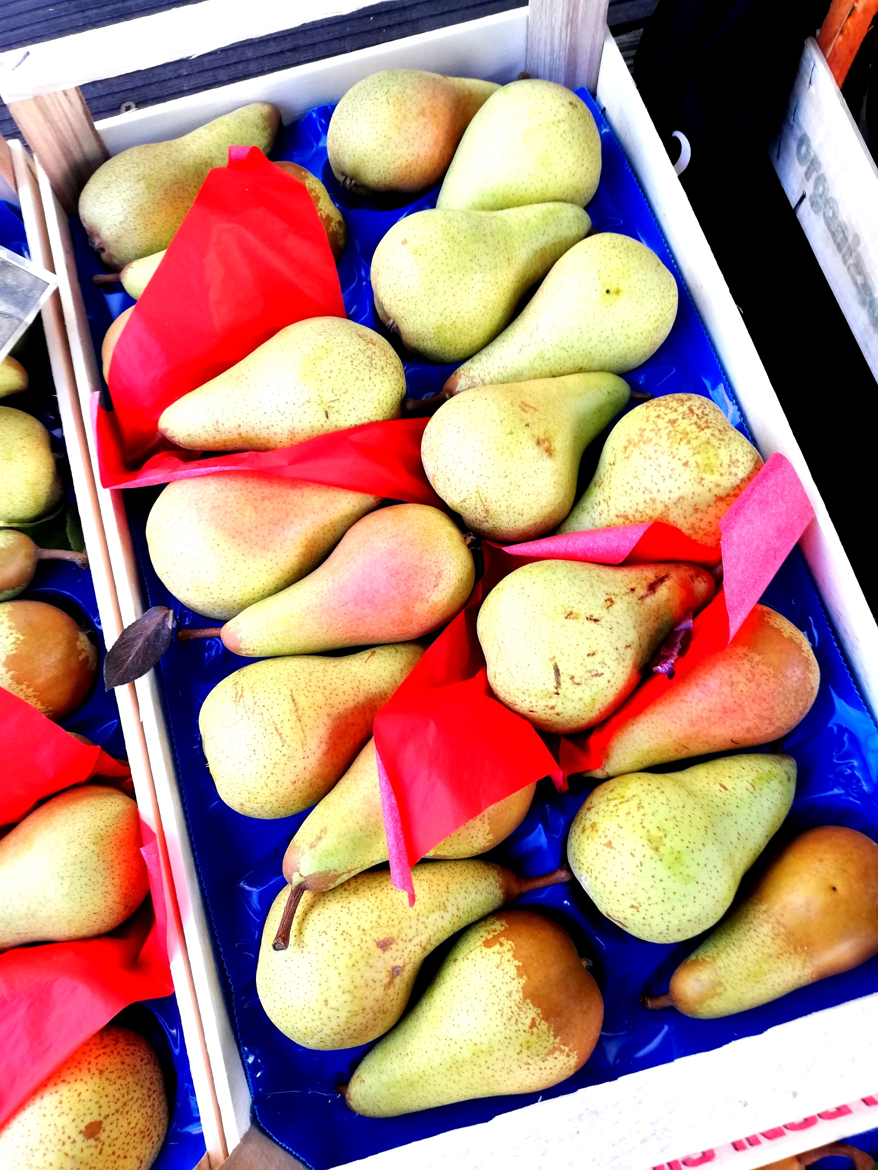 italska-domacnost.cz foto 2