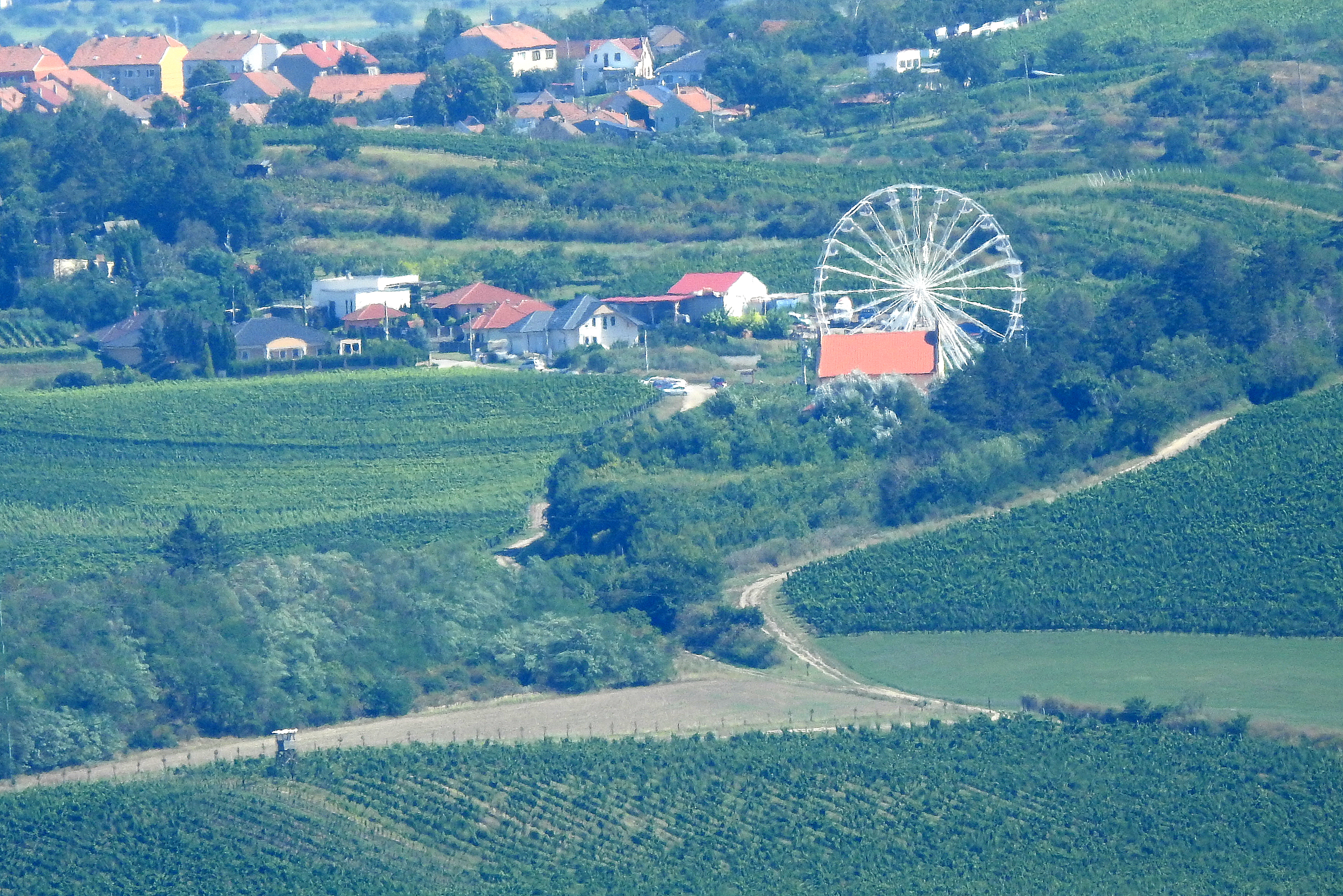 Vinný sklep Vinařství U Kapličky foto 6