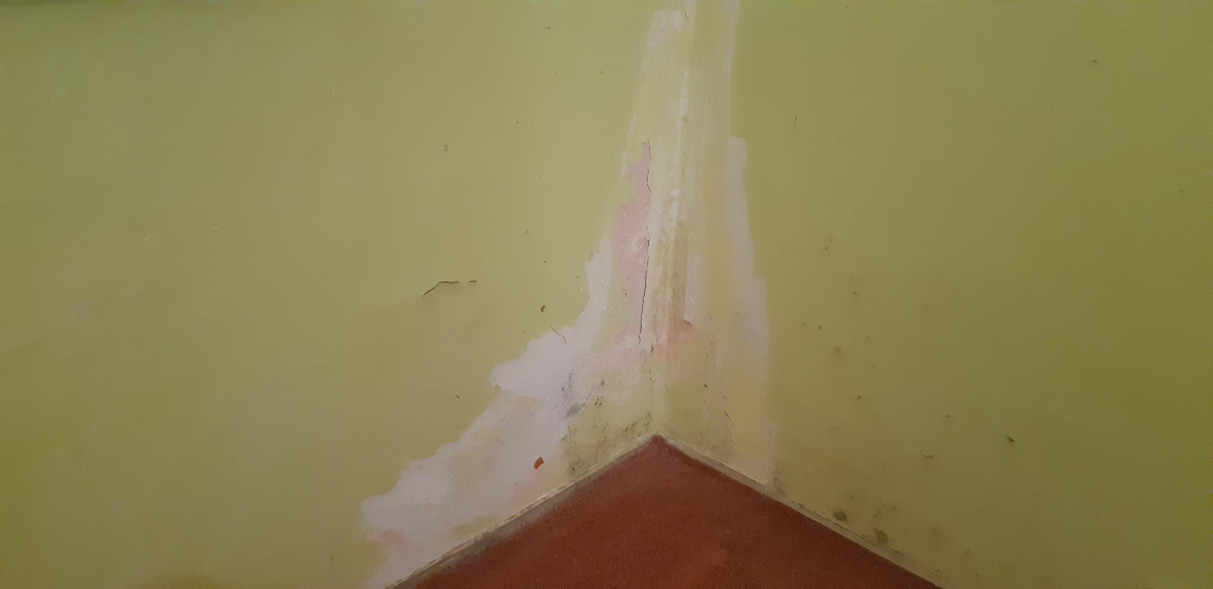 Jirkovští malíři foto 2