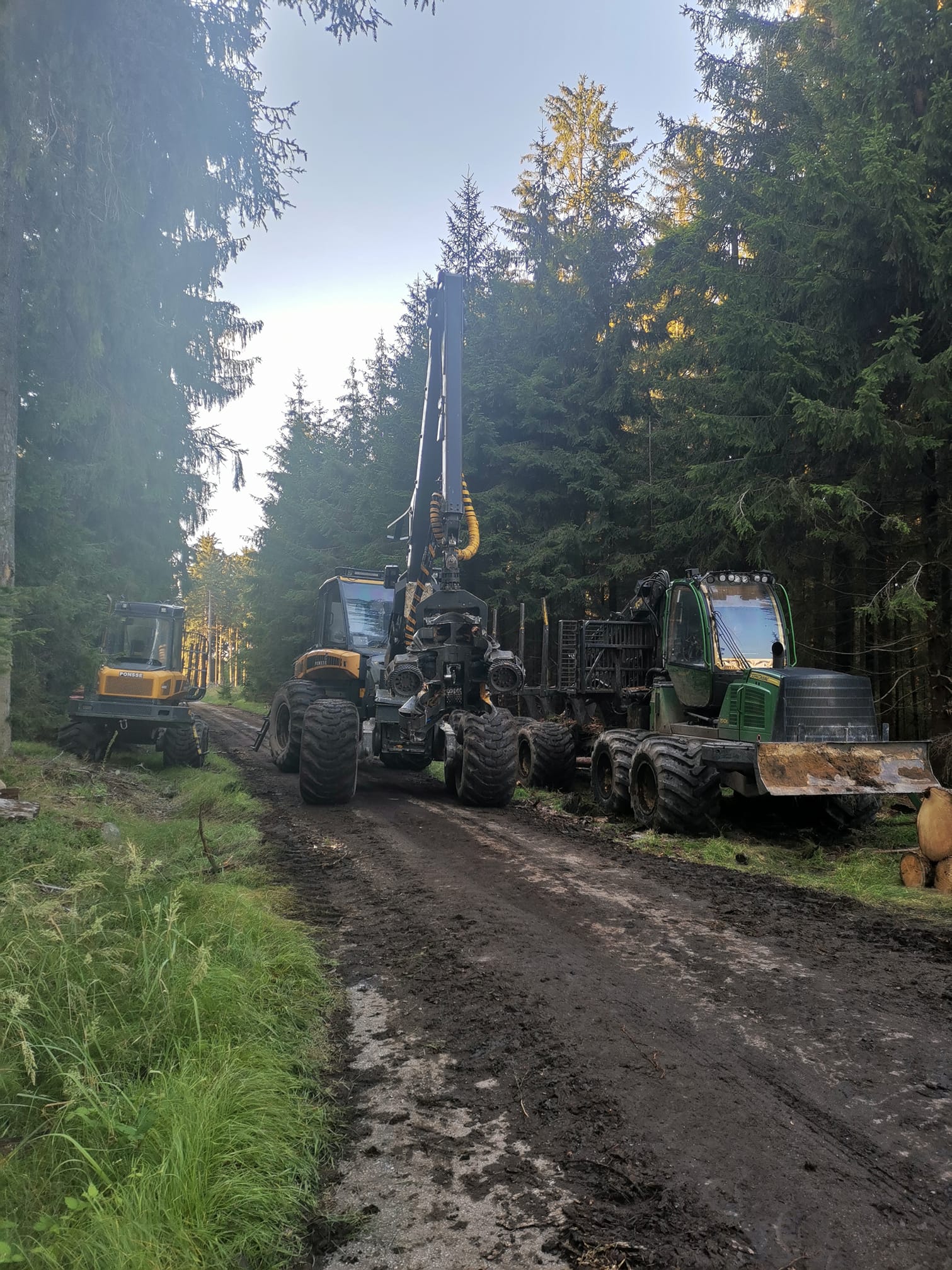 B&Z LESNÍ PRÁCE s.r.o. foto 2