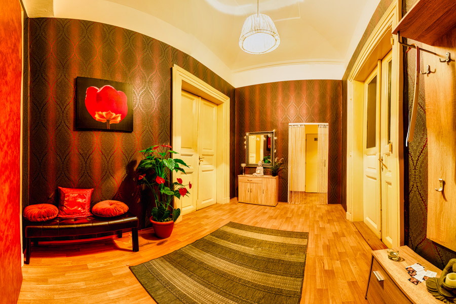Erotické masáže wellness foto 2