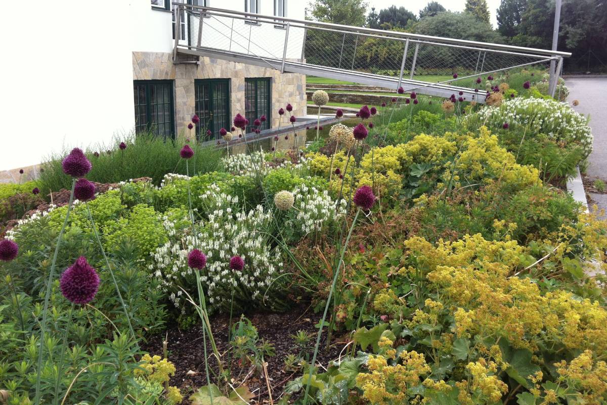 Ovocné a okrasné školky foto 1