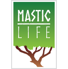 Masticha slzy malé 20 g (Malé mastichové krystaly v krásné kovové krabičce 20 g) v obchodě MASTICHA MasticLife