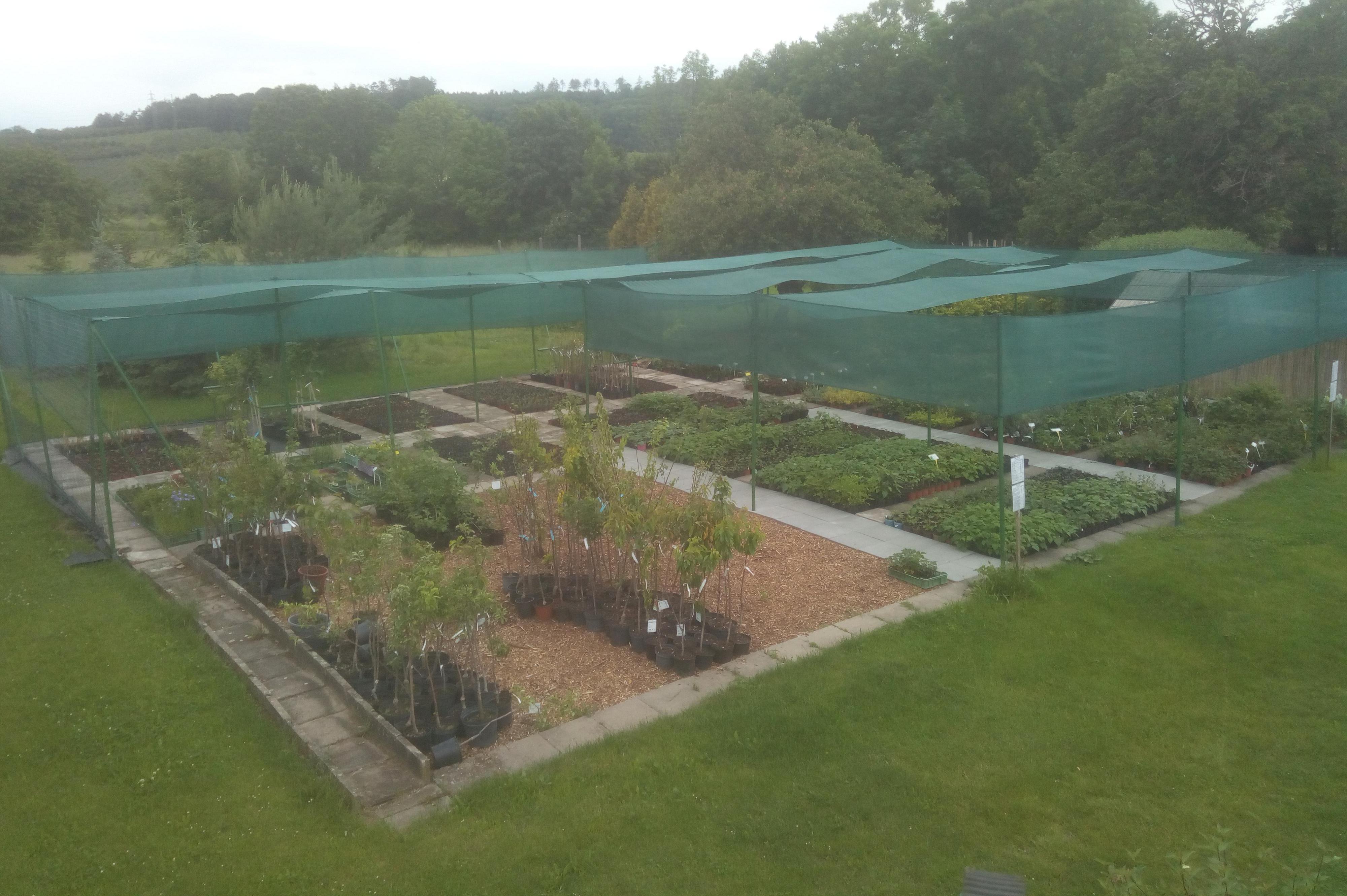 Zahradnictvi Kubelkovi