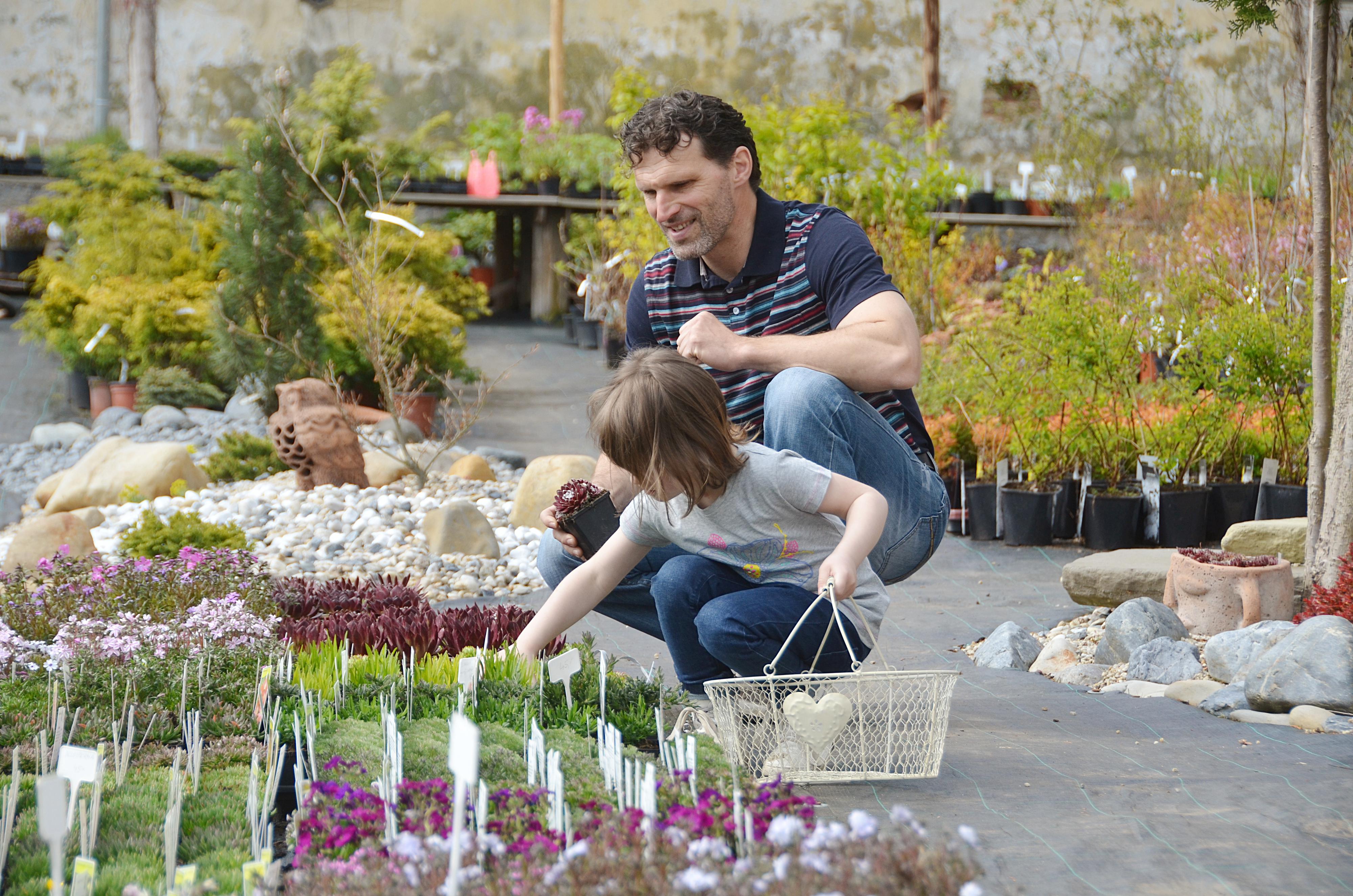 Zahradnictví Vladimír Kout foto 2