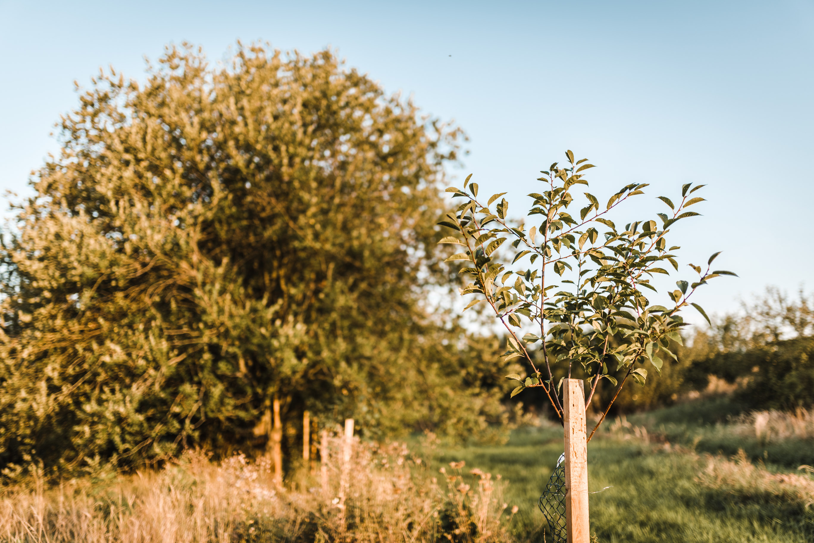 Statek Cidlina - Moštárna foto 2